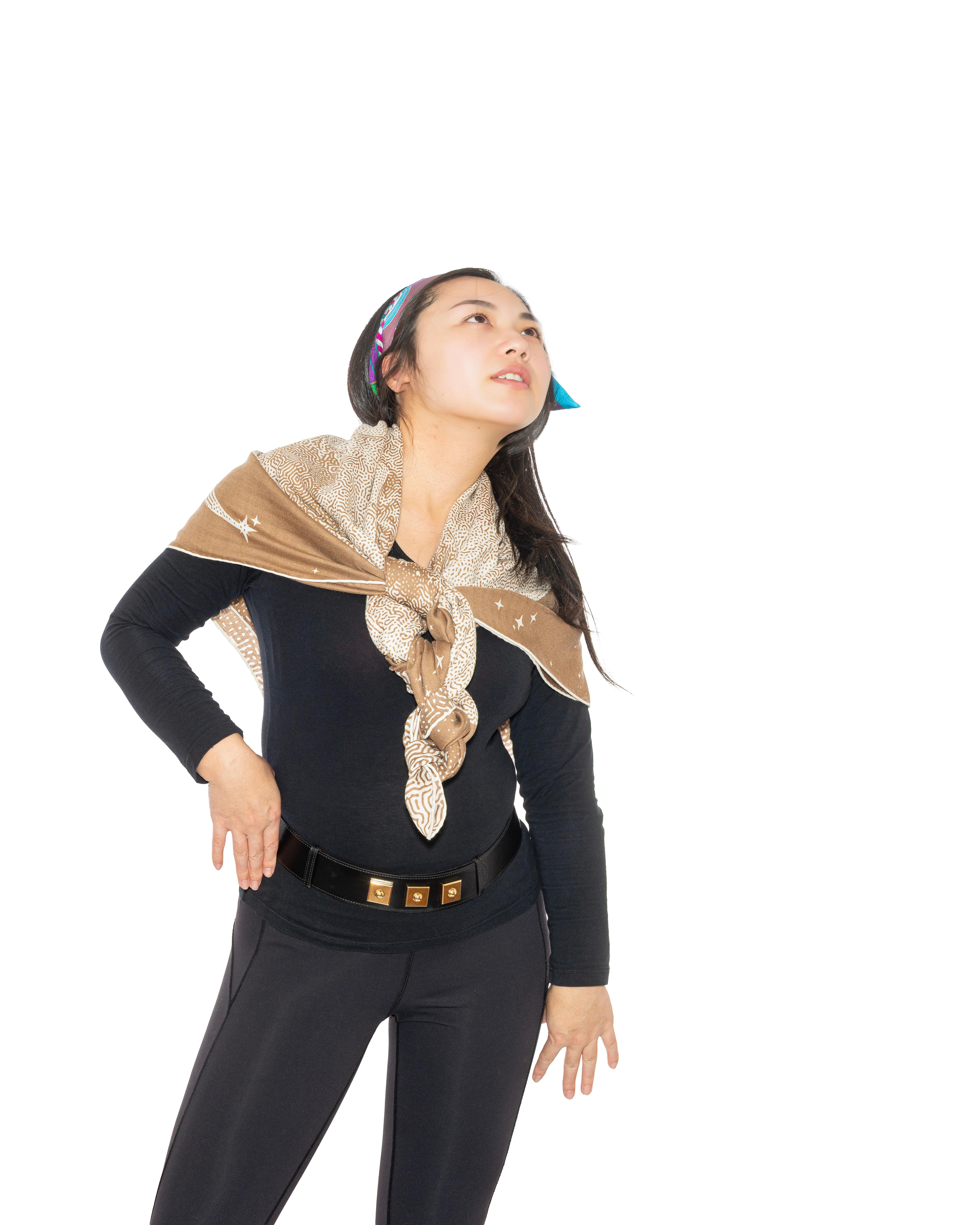 Scialle Hermes Clair de Lune - CS140 - Camel - Blanc - Nuova Etichetta del Negozio 13