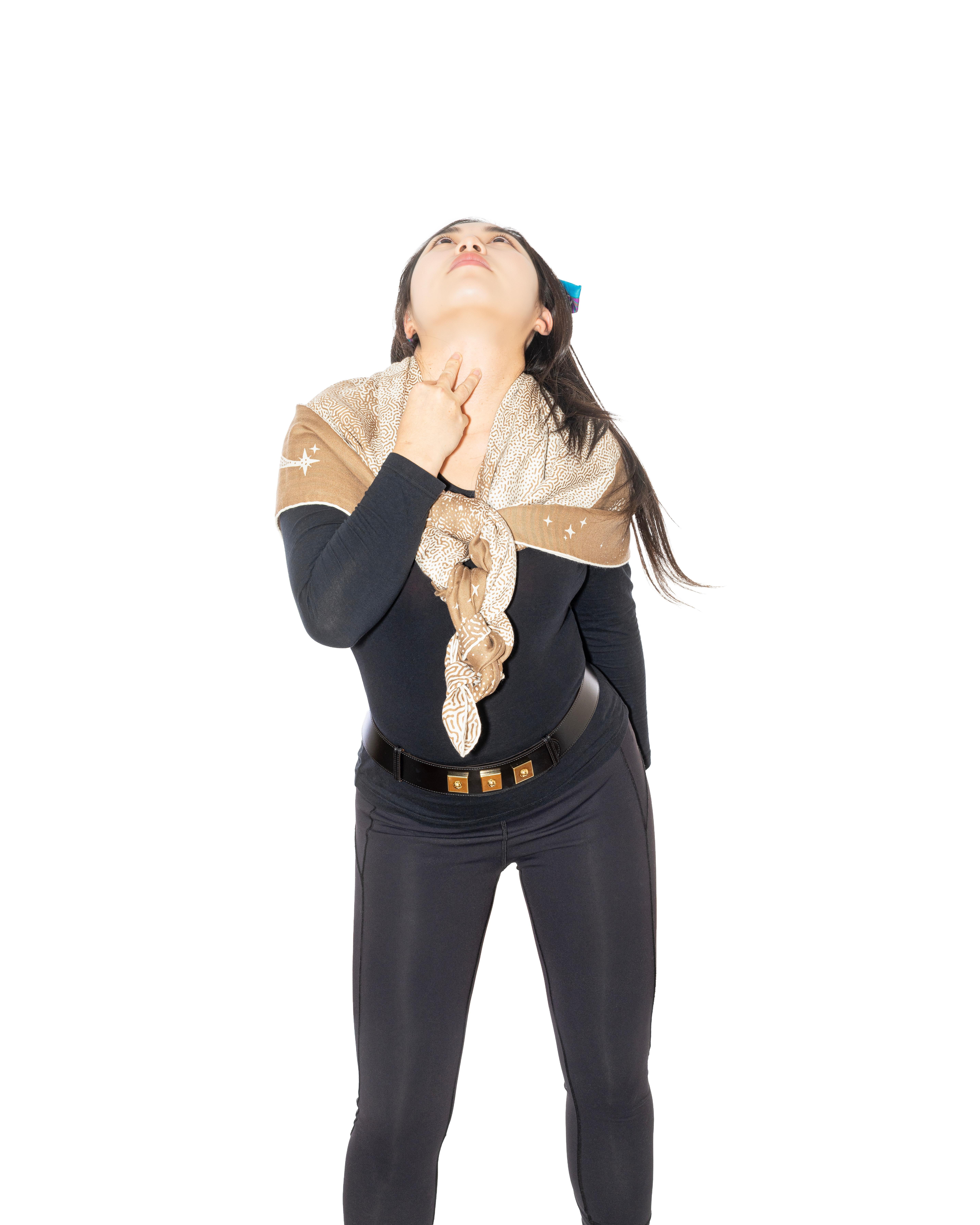 Scialle Hermes Clair de Lune - CS140 - Camel - Blanc - Nuova Etichetta del Negozio 14