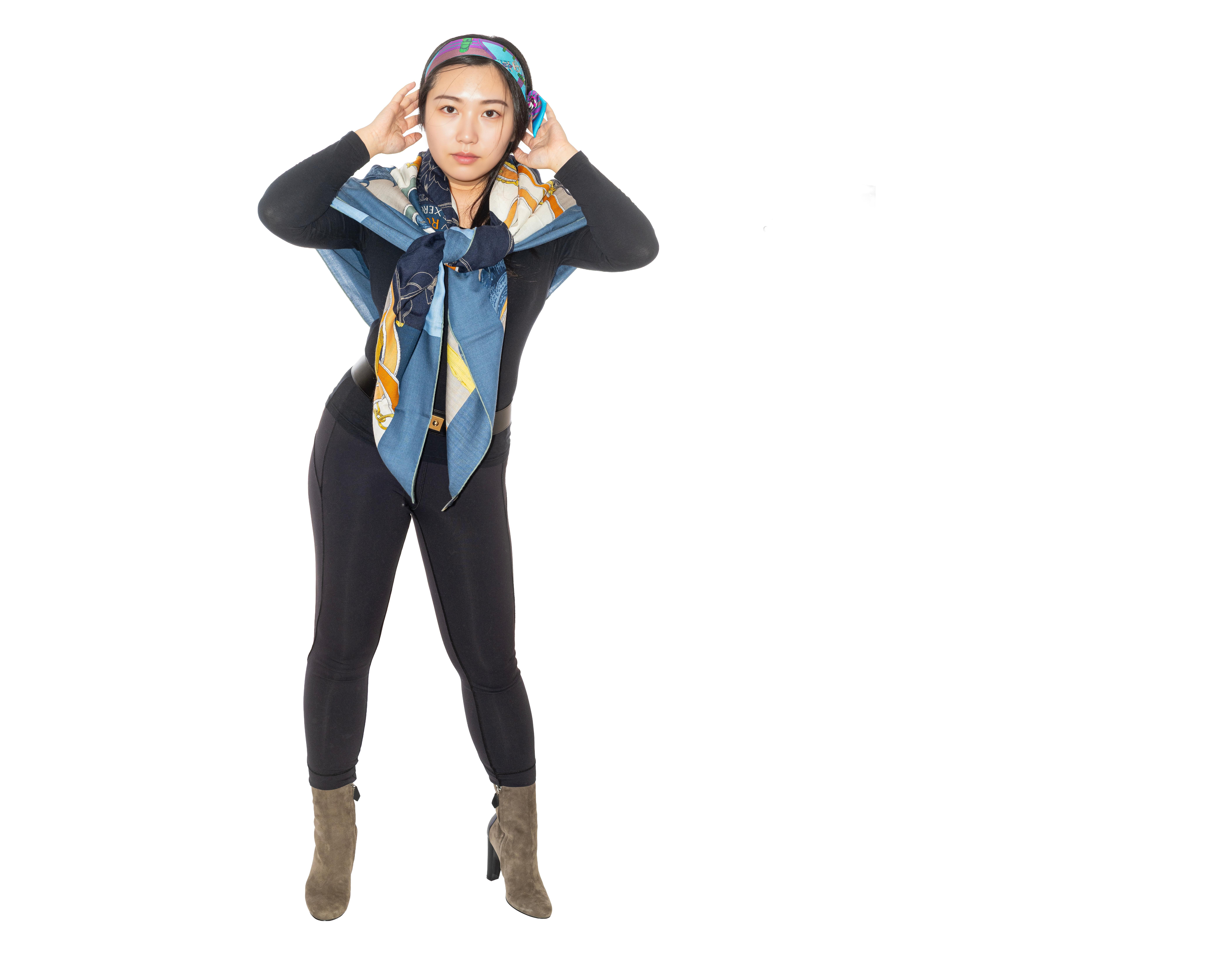 Nero Scialle Hermes L'Instruction du Roy - CS140 - Bleu Ardoise - Nuova etichetta del negozio! in vendita