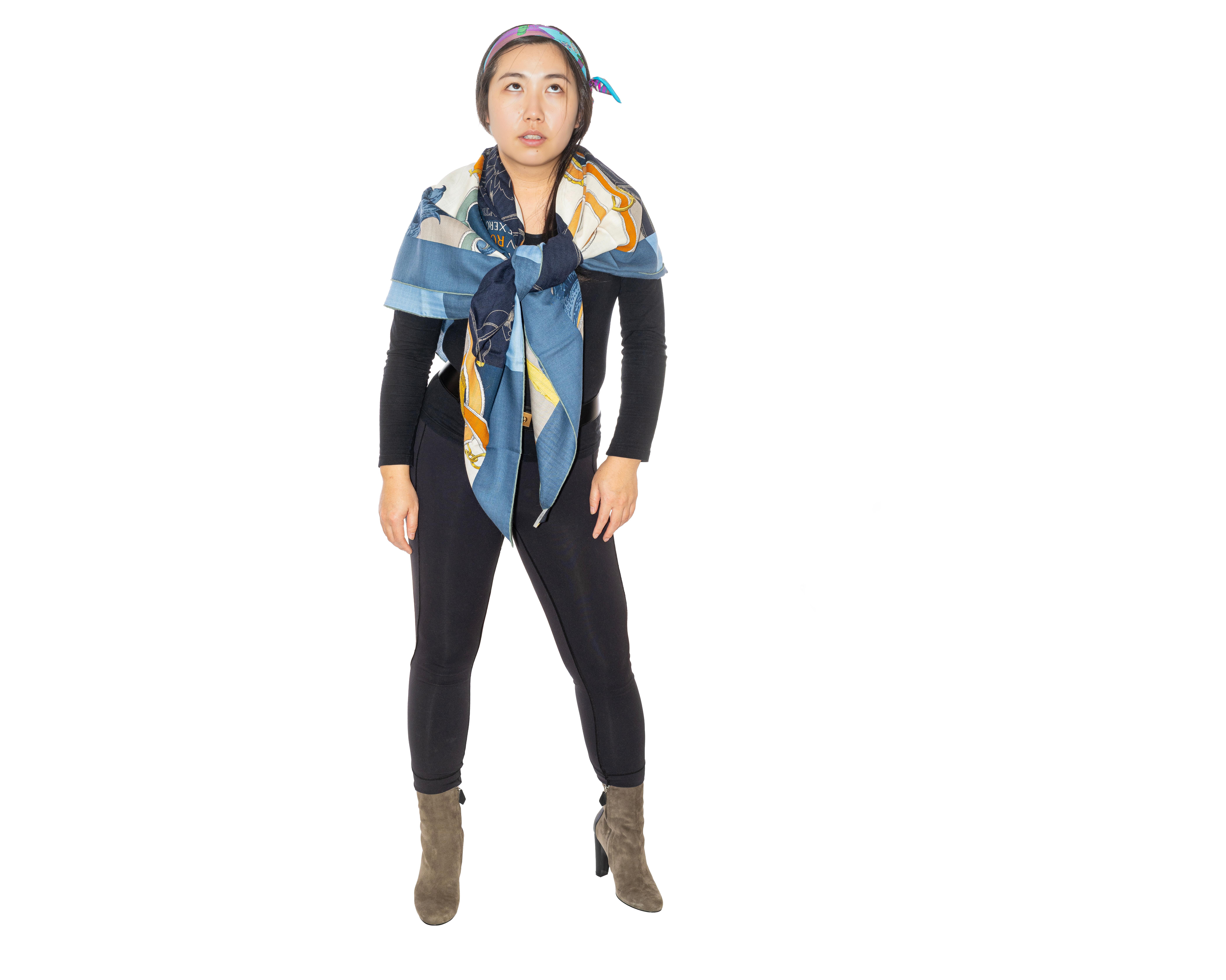 Scialle Hermes L'Instruction du Roy - CS140 - Bleu Ardoise - Nuova etichetta del negozio! In condizioni Nuovo in vendita a Ottawa, CA