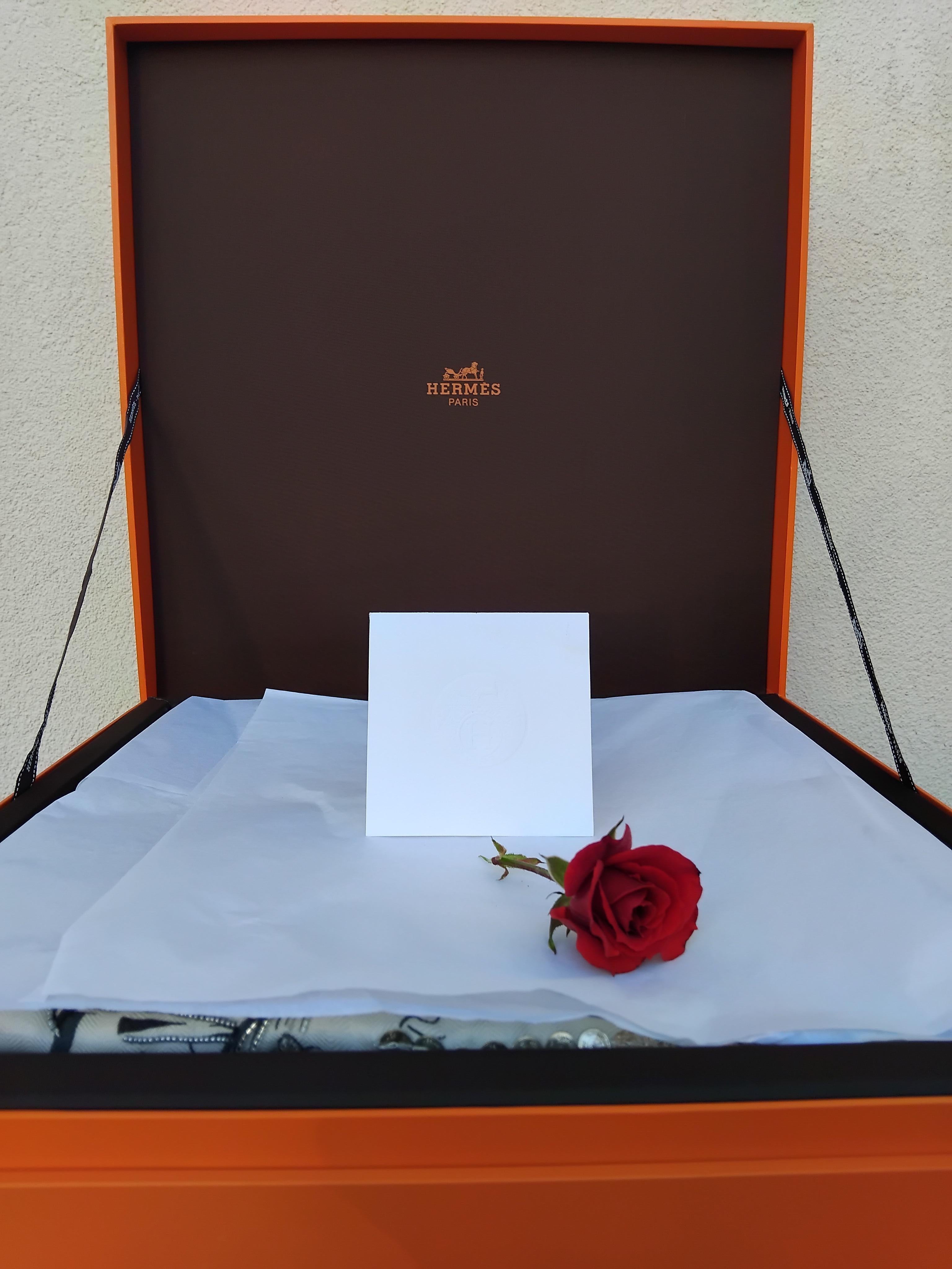 Hermès Shawl Scarf Brides De Gala Precious Embroidered Cashmere Silk 140 cm For Sale 14
