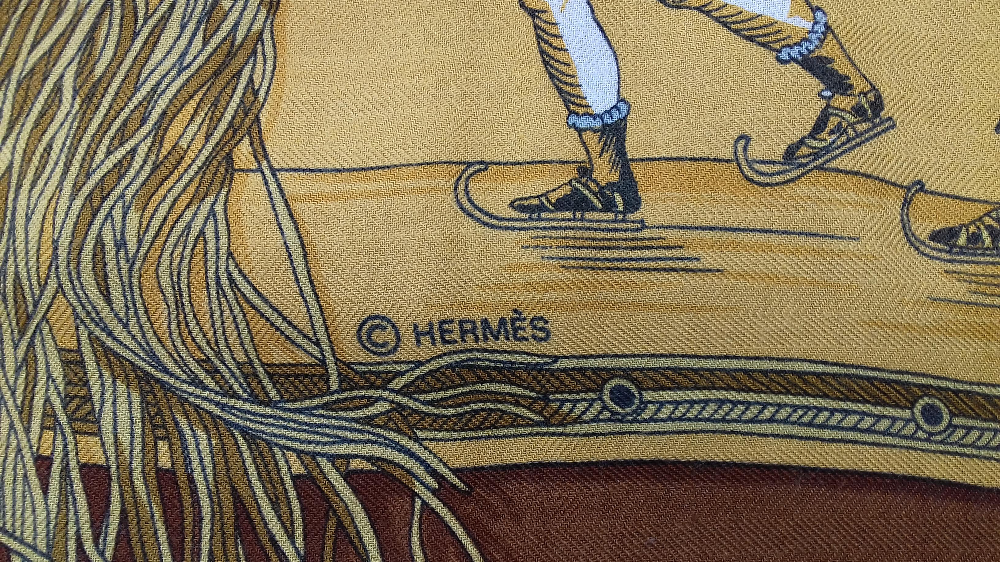 Hermès Shawl Scarf Les Plaisirs du Froid Grygkar Cashmere Silk 54 inches 6