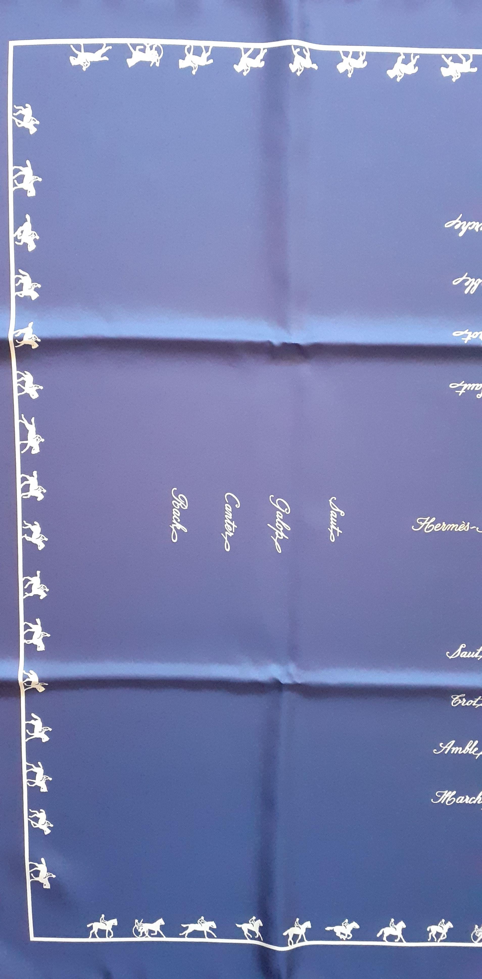 Violet Hermès - Foulard en soie Allures Grygkar Bleu de Chine 70 cm en vente