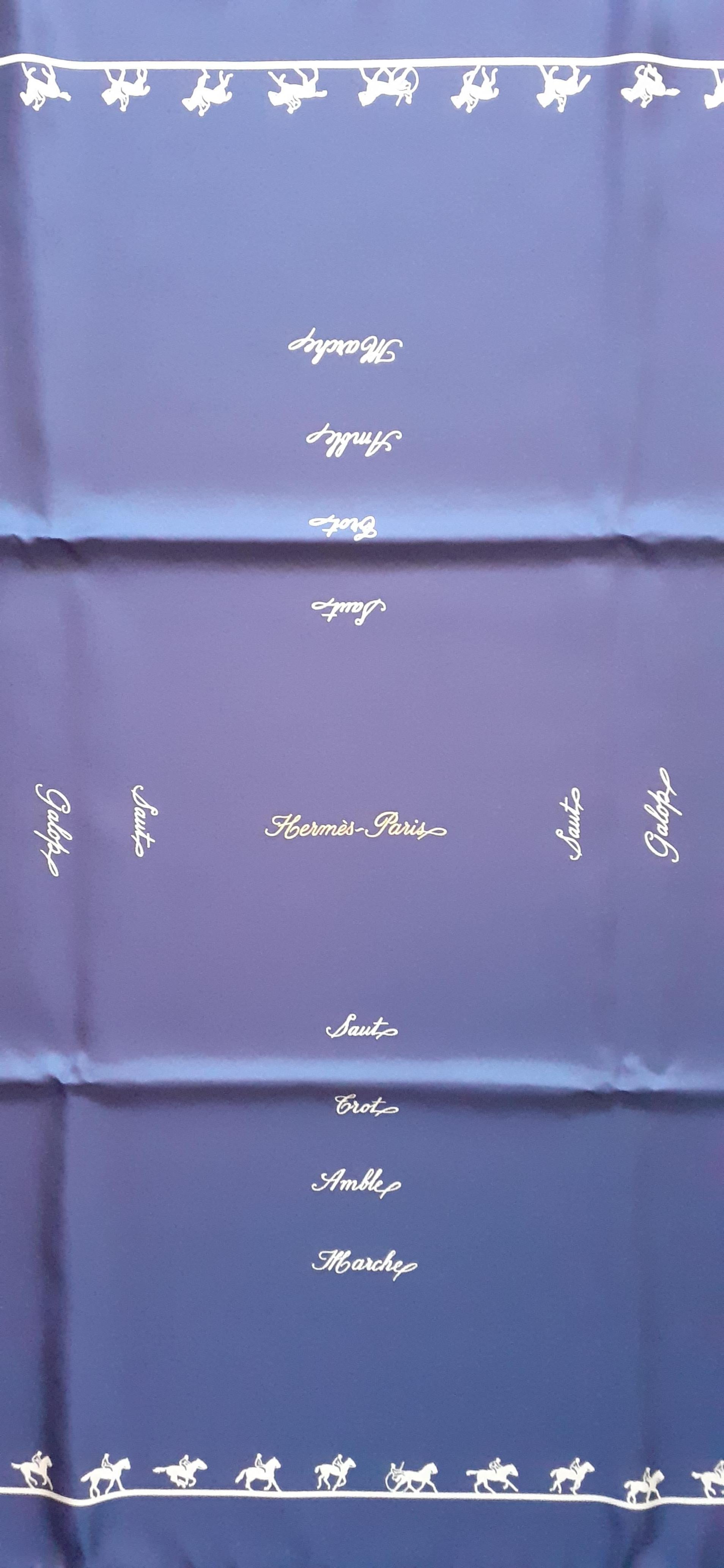 Hermès - Foulard en soie Allures Grygkar Bleu de Chine 70 cm Pour femmes en vente