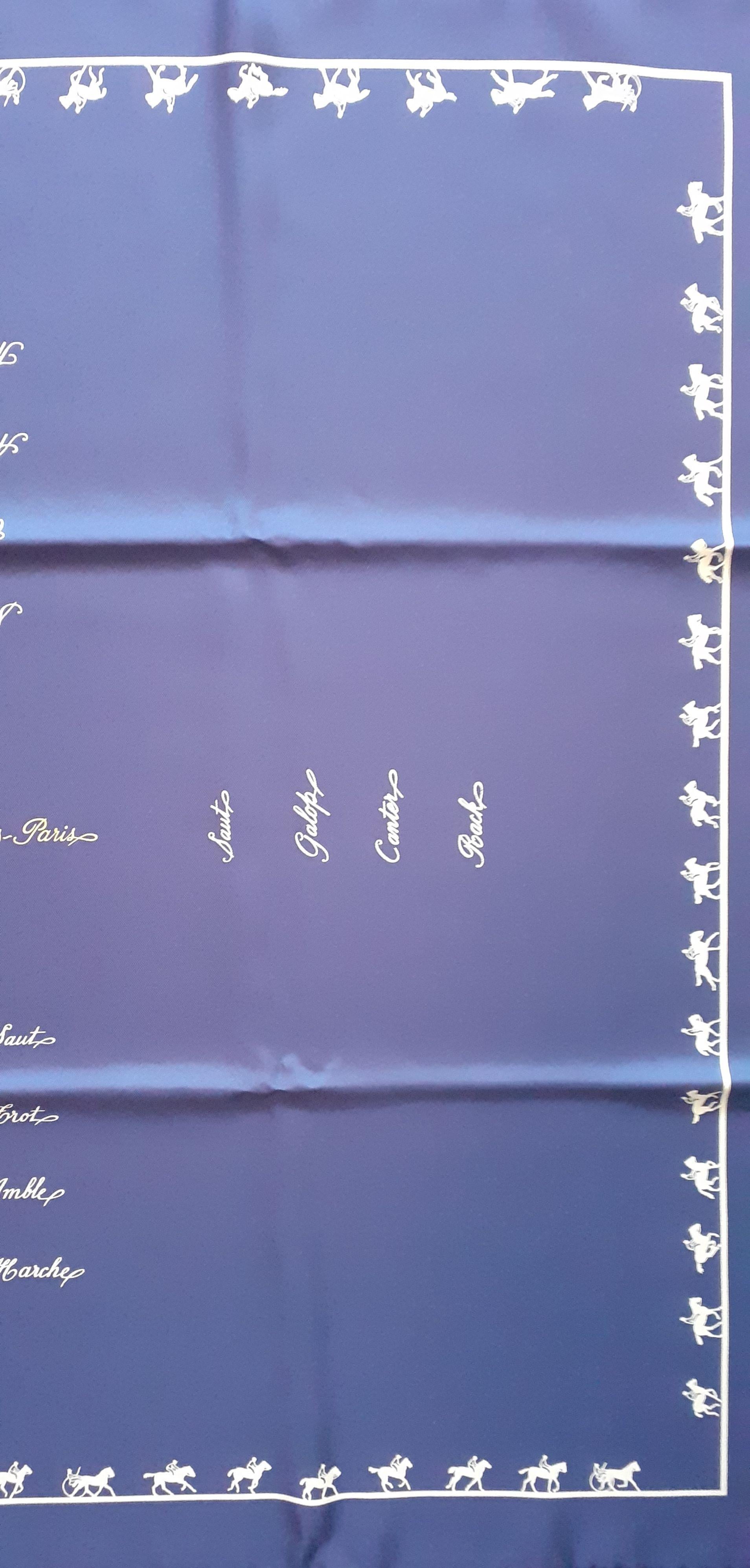 Hermès Seidenschal Allures Grygkar Bleu de Chine 70 cm im Angebot 1