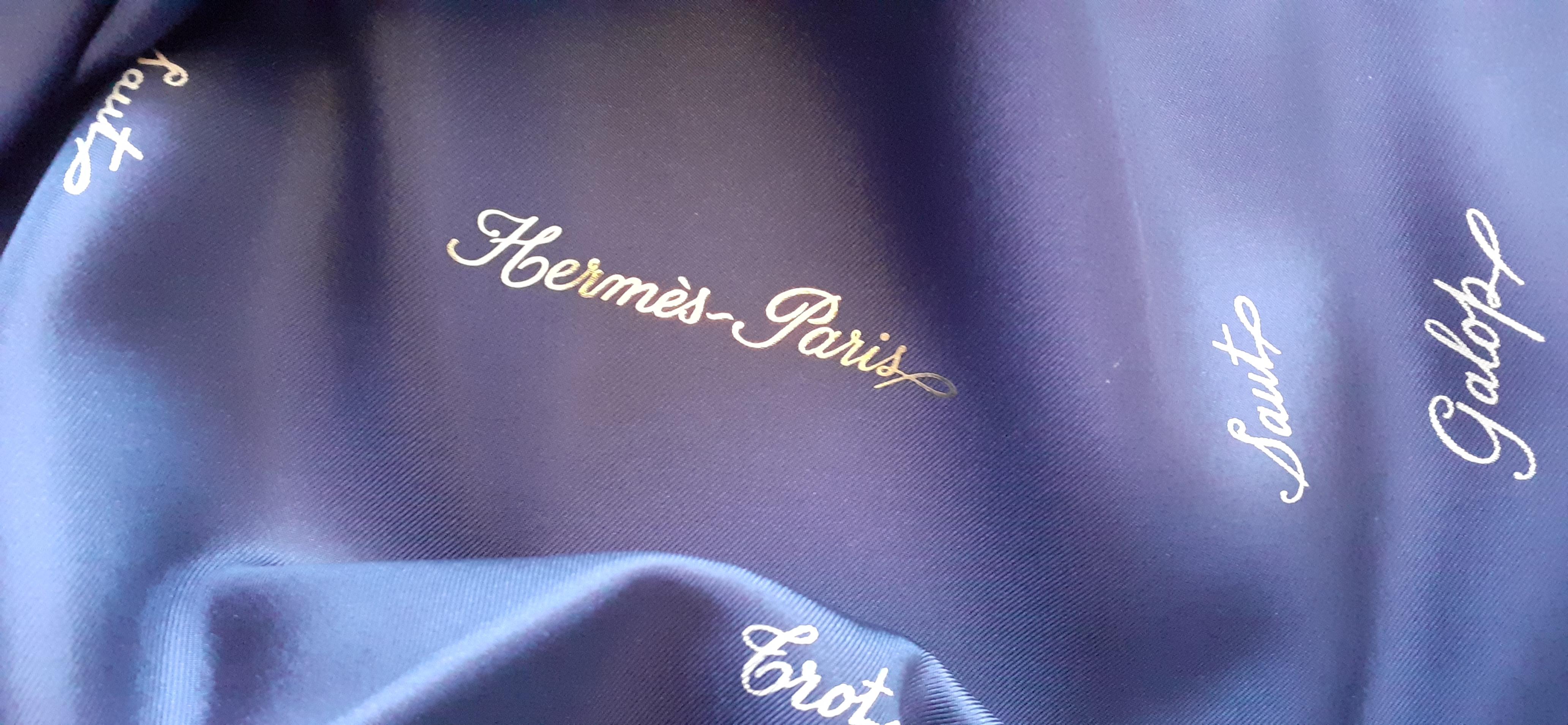 Hermès Seidenschal Allures Grygkar Bleu de Chine 70 cm im Angebot 4