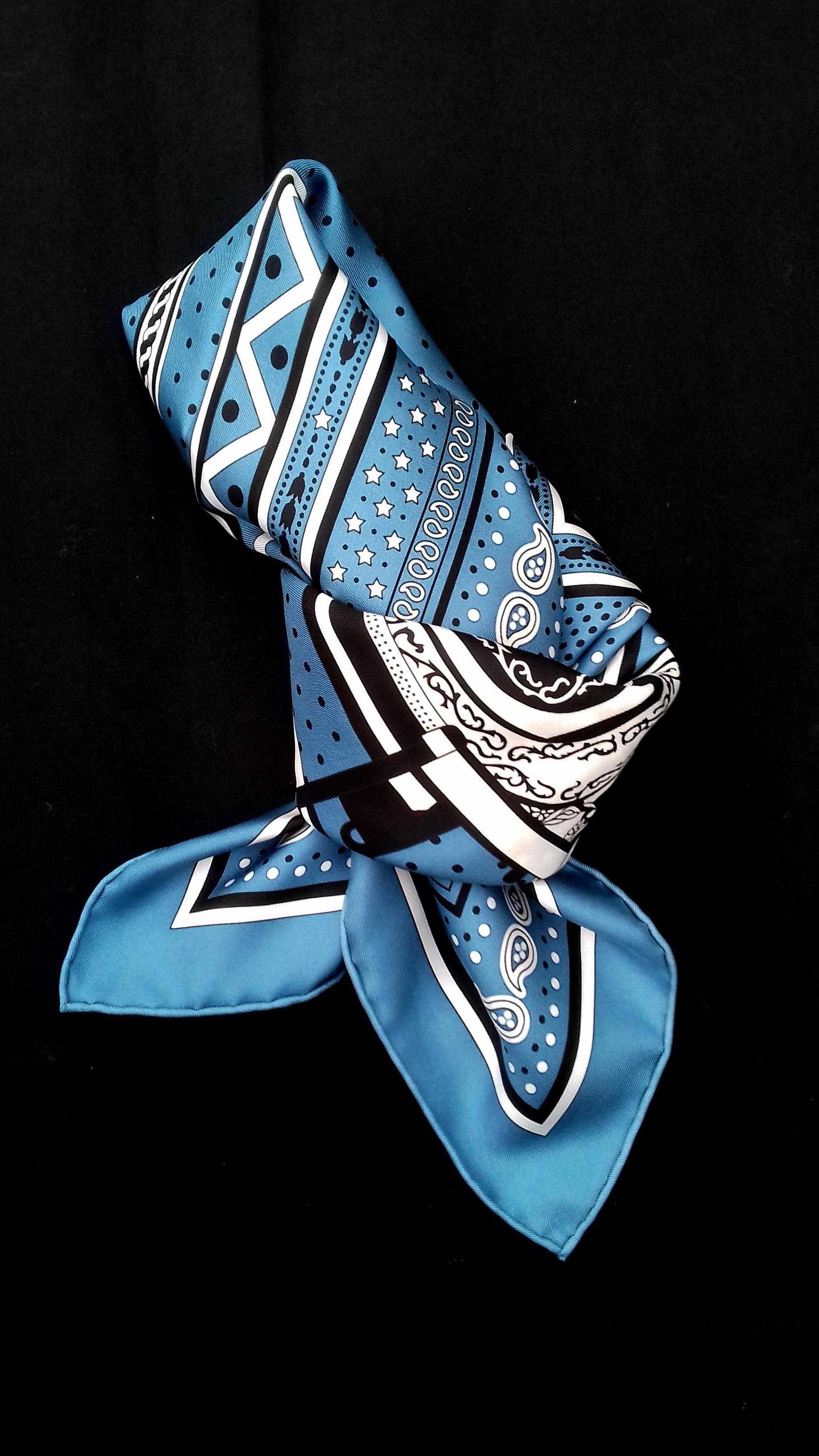 Hermès Silk Scarf  Balade en Berline Bandana Bleu Orage Twill 26 inches 6