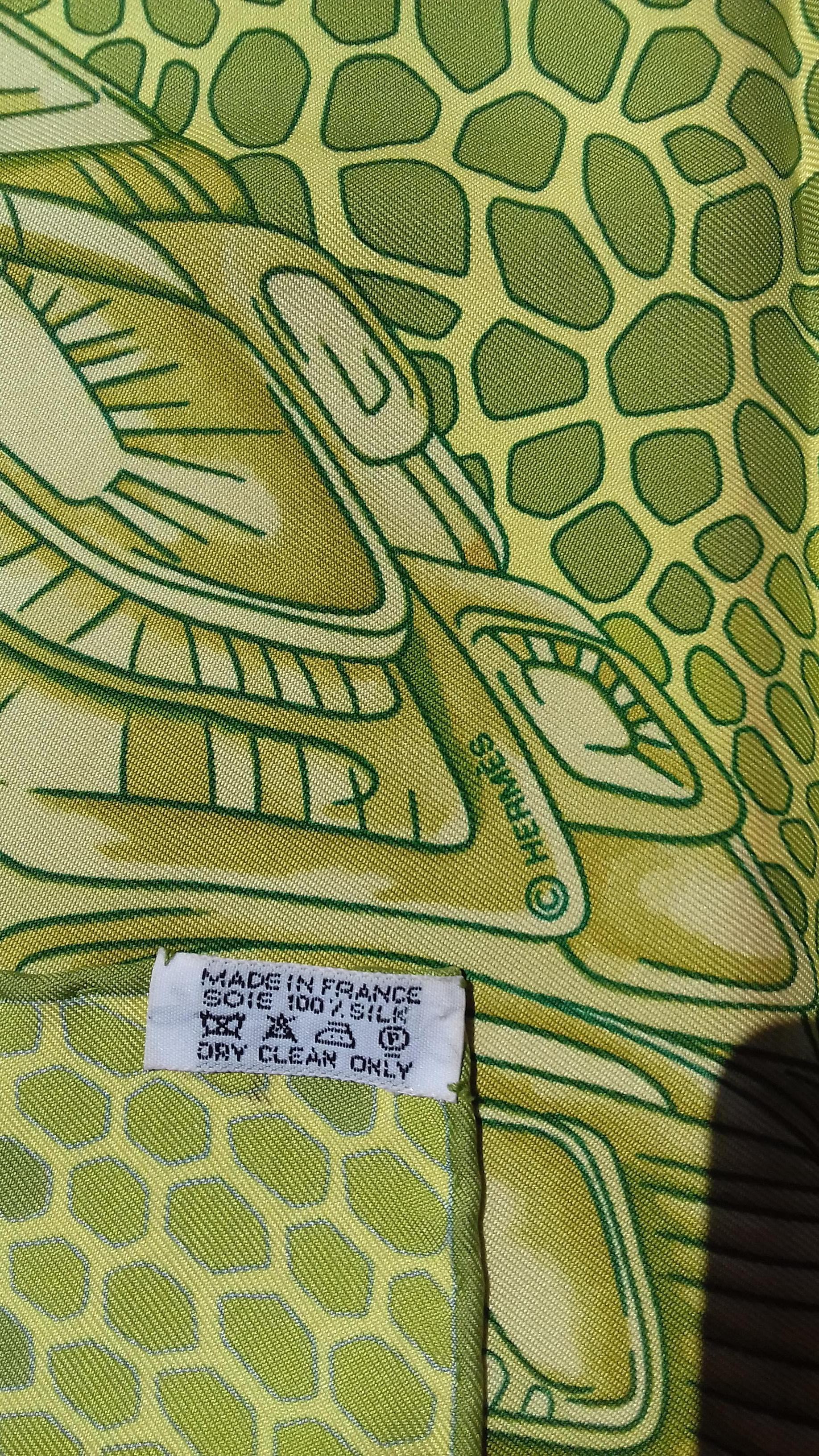 Hermès Silk Scarf De Madras A Zakynthos Turtle Anise Green 35 inches 8