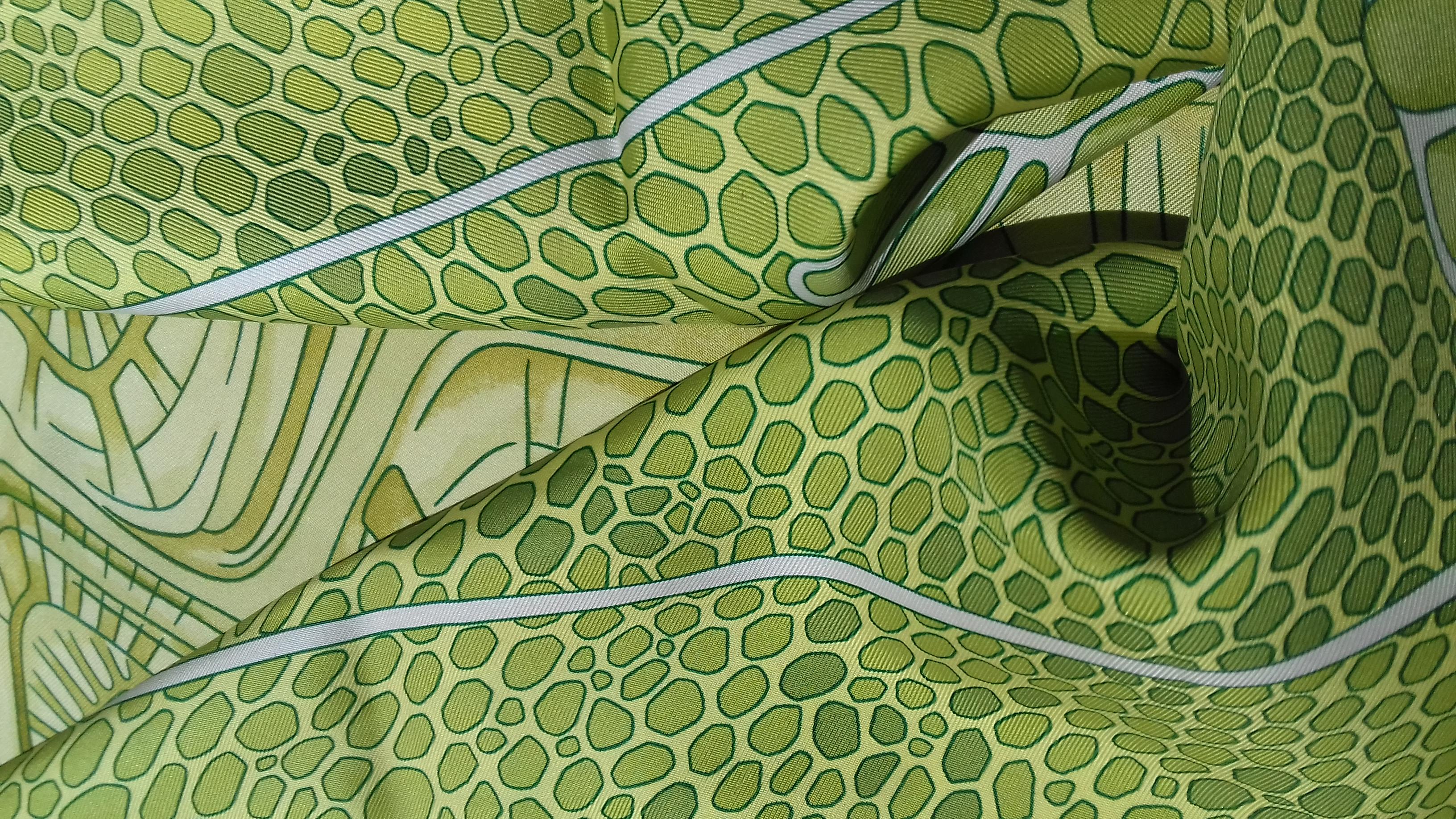 Hermès Silk Scarf De Madras A Zakynthos Turtle Anise Green 35 inches 9