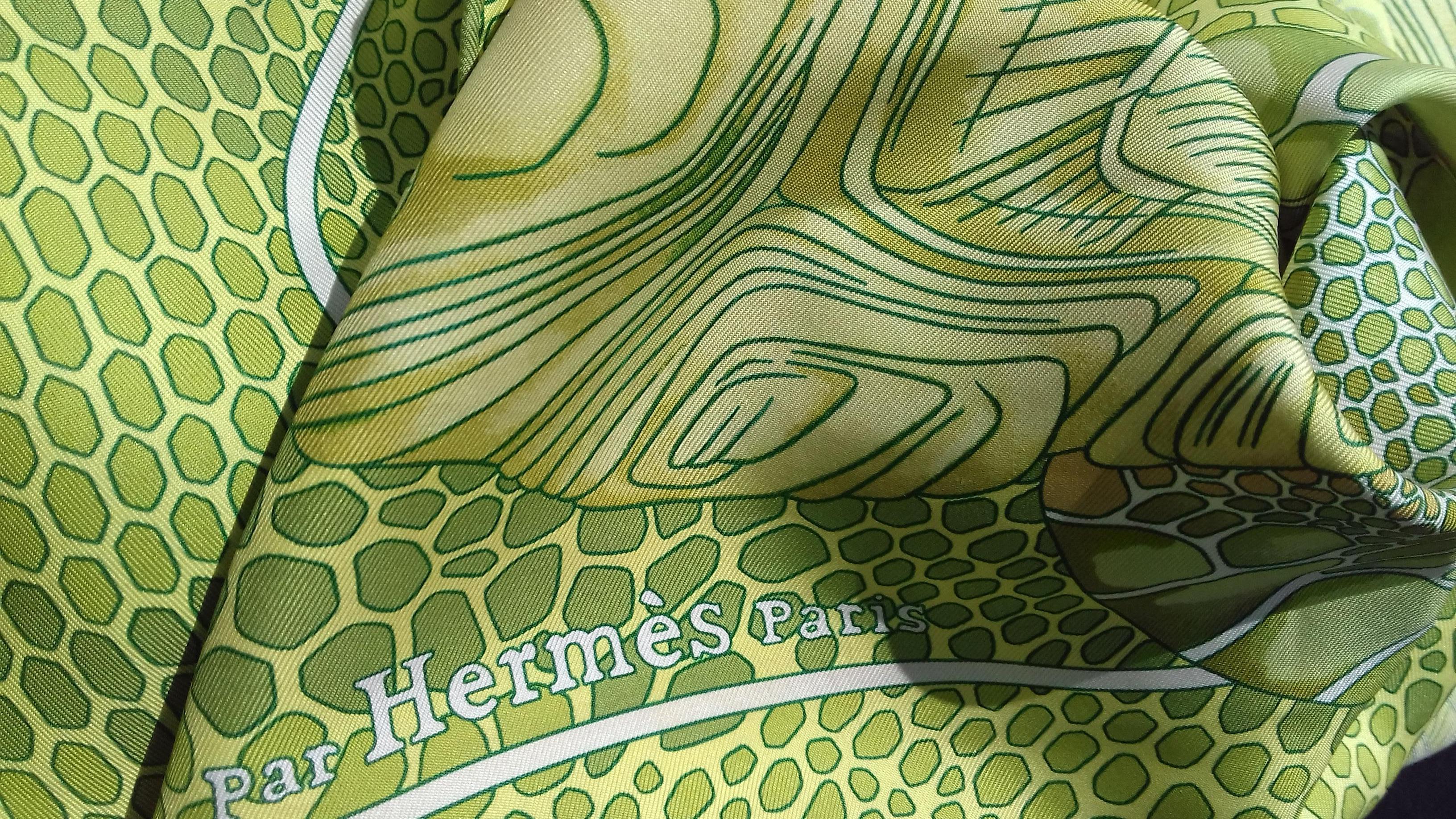 Hermès Silk Scarf De Madras A Zakynthos Turtle Anise Green 35 inches 11