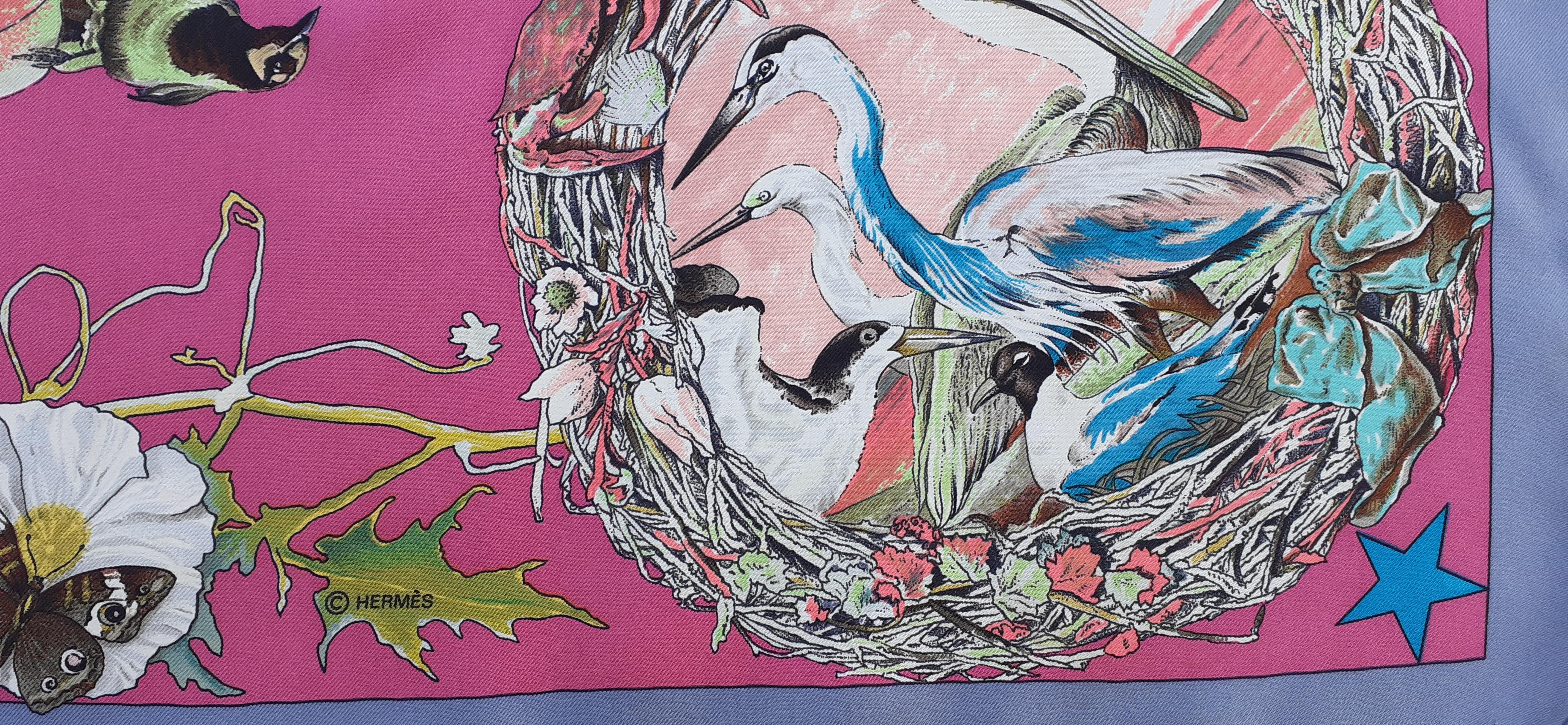 Hermès Silk Scarf Faune et Flore du Texas Kermit Oliver 90 cm 4