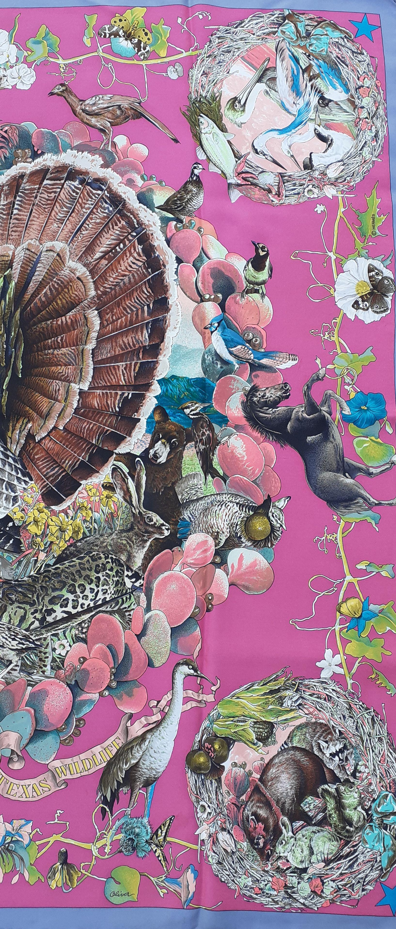 hermes turkey scarf