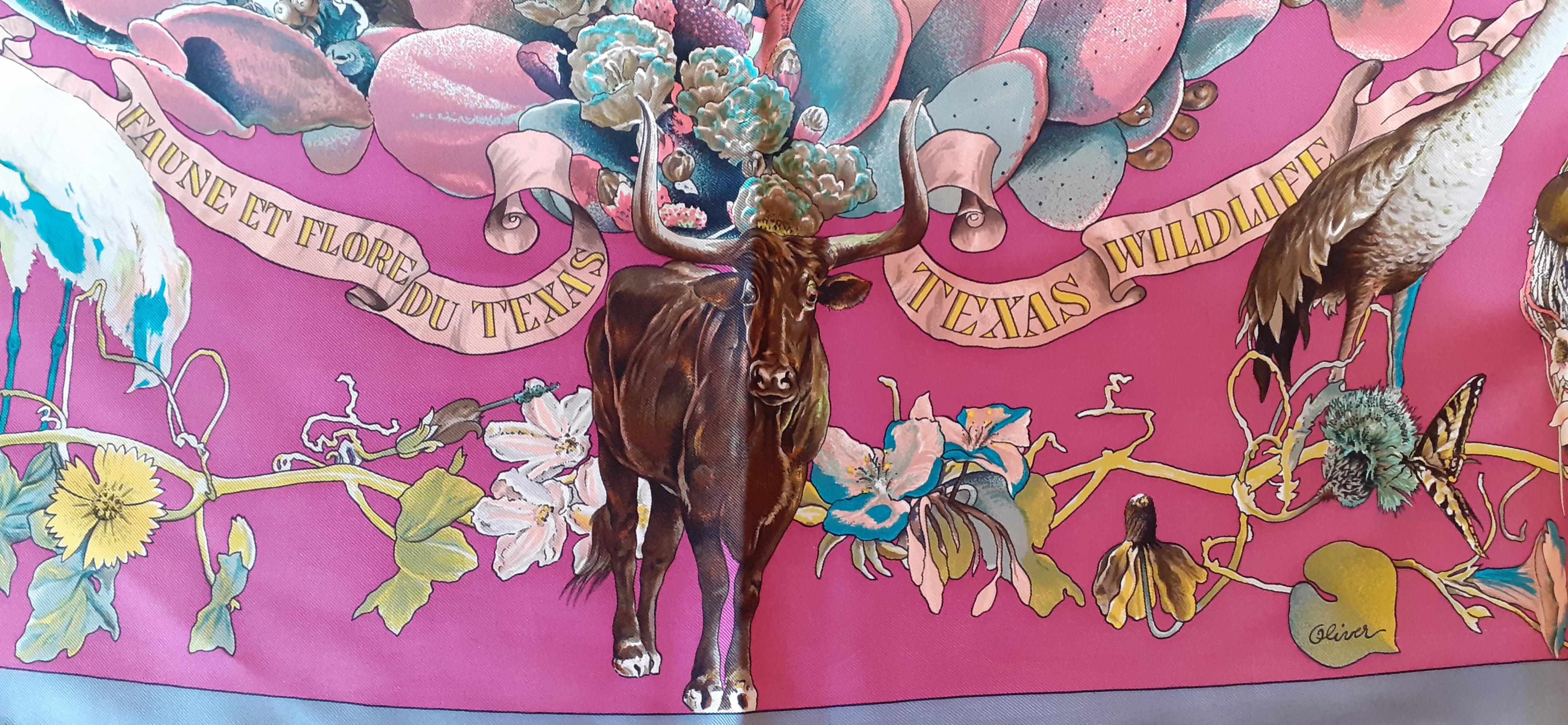 Gray Hermès Silk Scarf Faune et Flore du Texas Kermit Oliver 90 cm