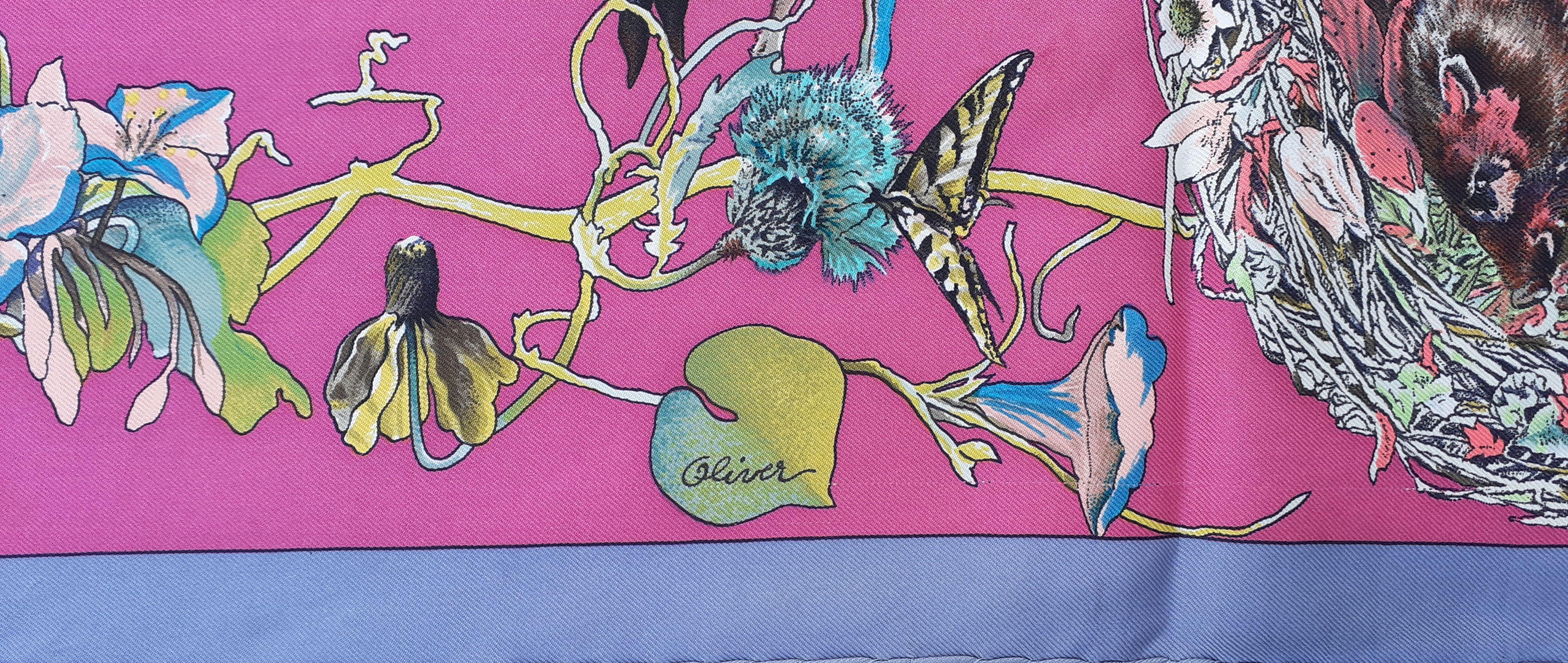 Hermès Silk Scarf Faune et Flore du Texas Kermit Oliver 90 cm 1