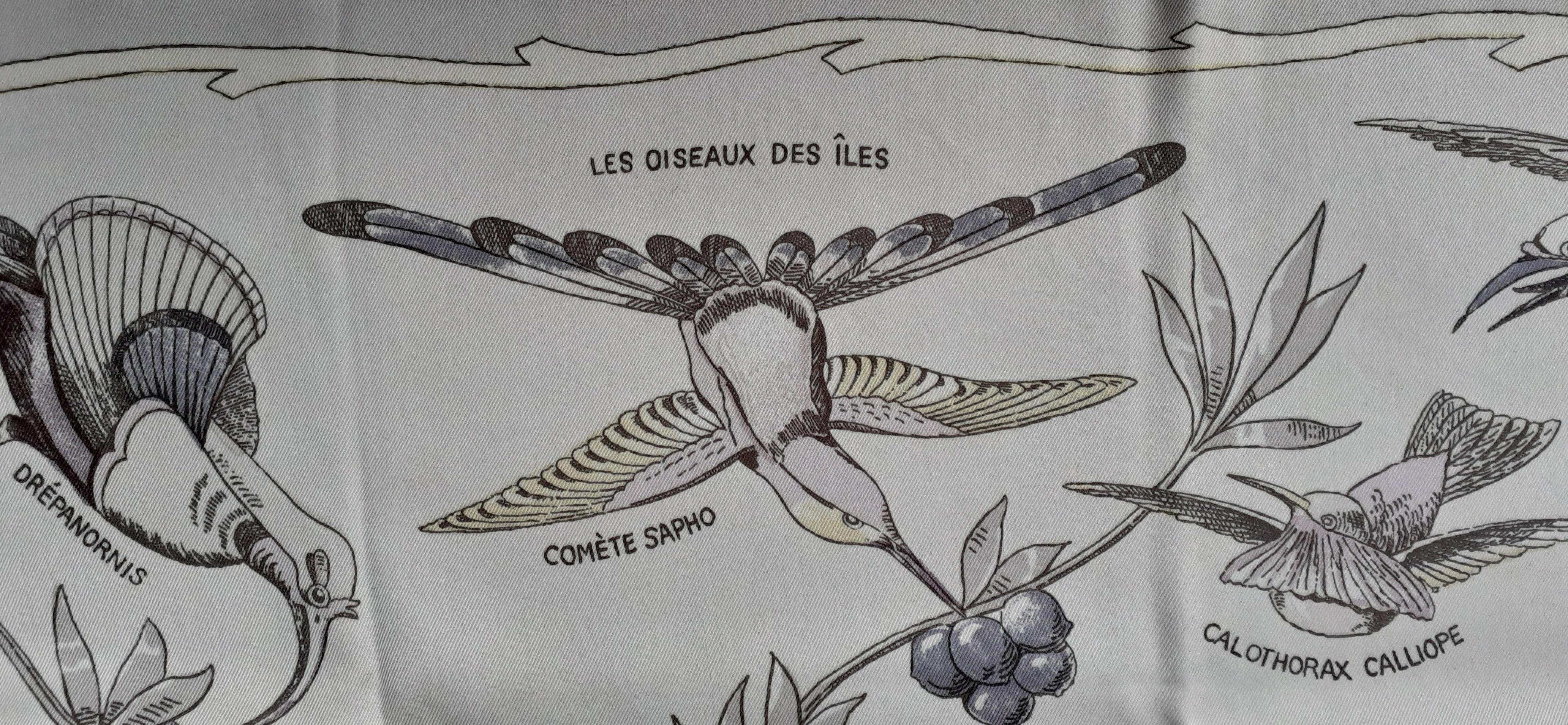 Hermès Silk Scarf Les Oiseaux des Iles Charles Pittner 66 cm RARE For Sale 3