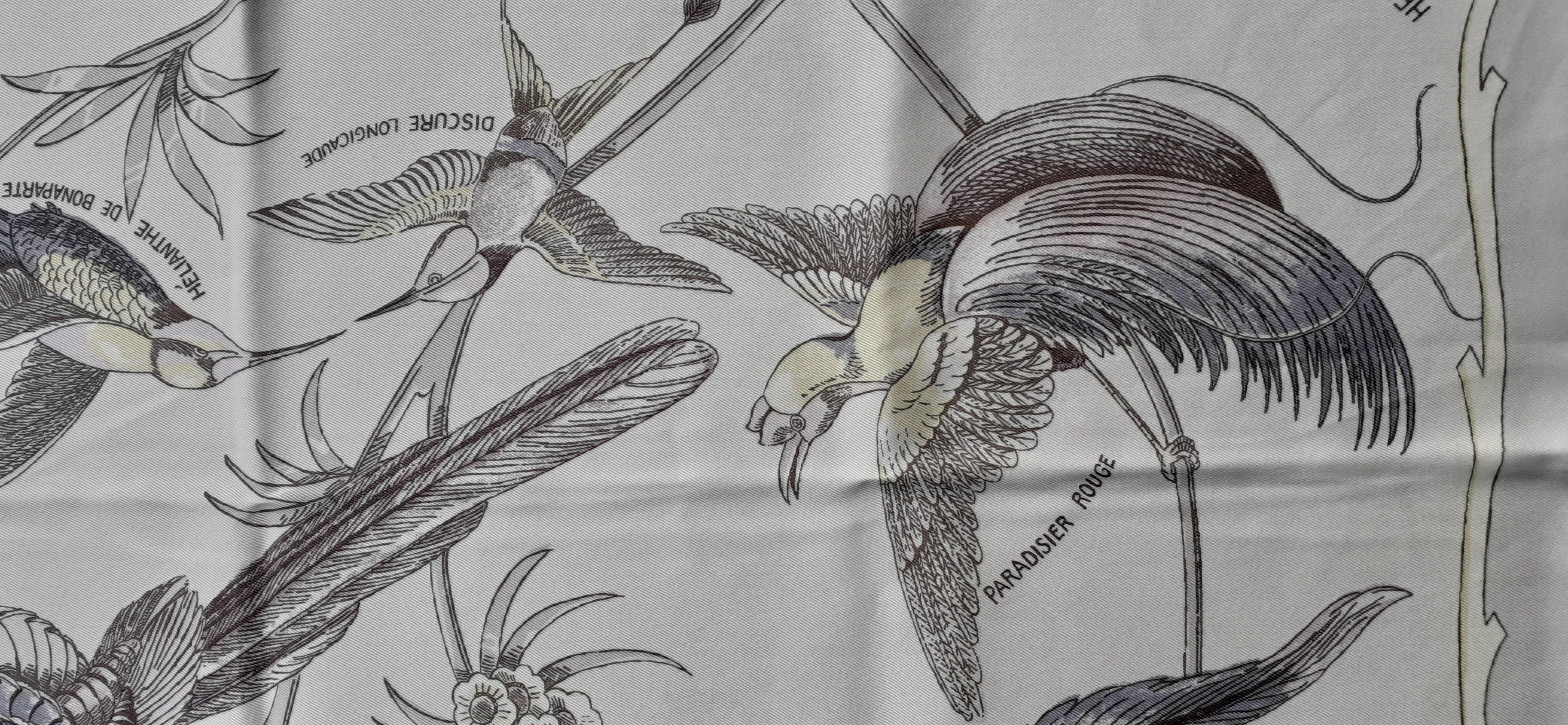 Seidenschal von Hermès Les Oiseaux des Iles Charles Pittner 66 cm SELTEN im Angebot 1