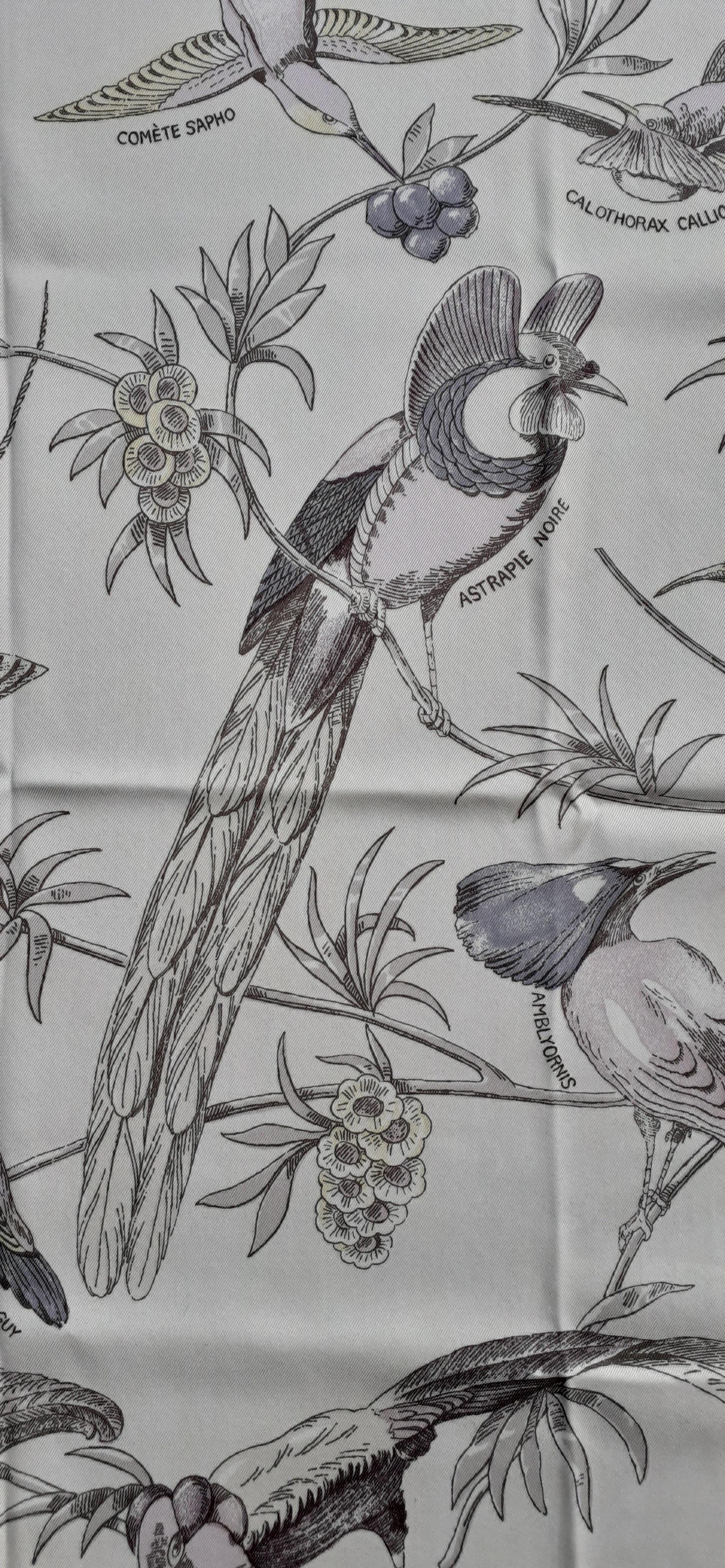 Seidenschal von Hermès Les Oiseaux des Iles Charles Pittner 66 cm SELTEN im Angebot 2