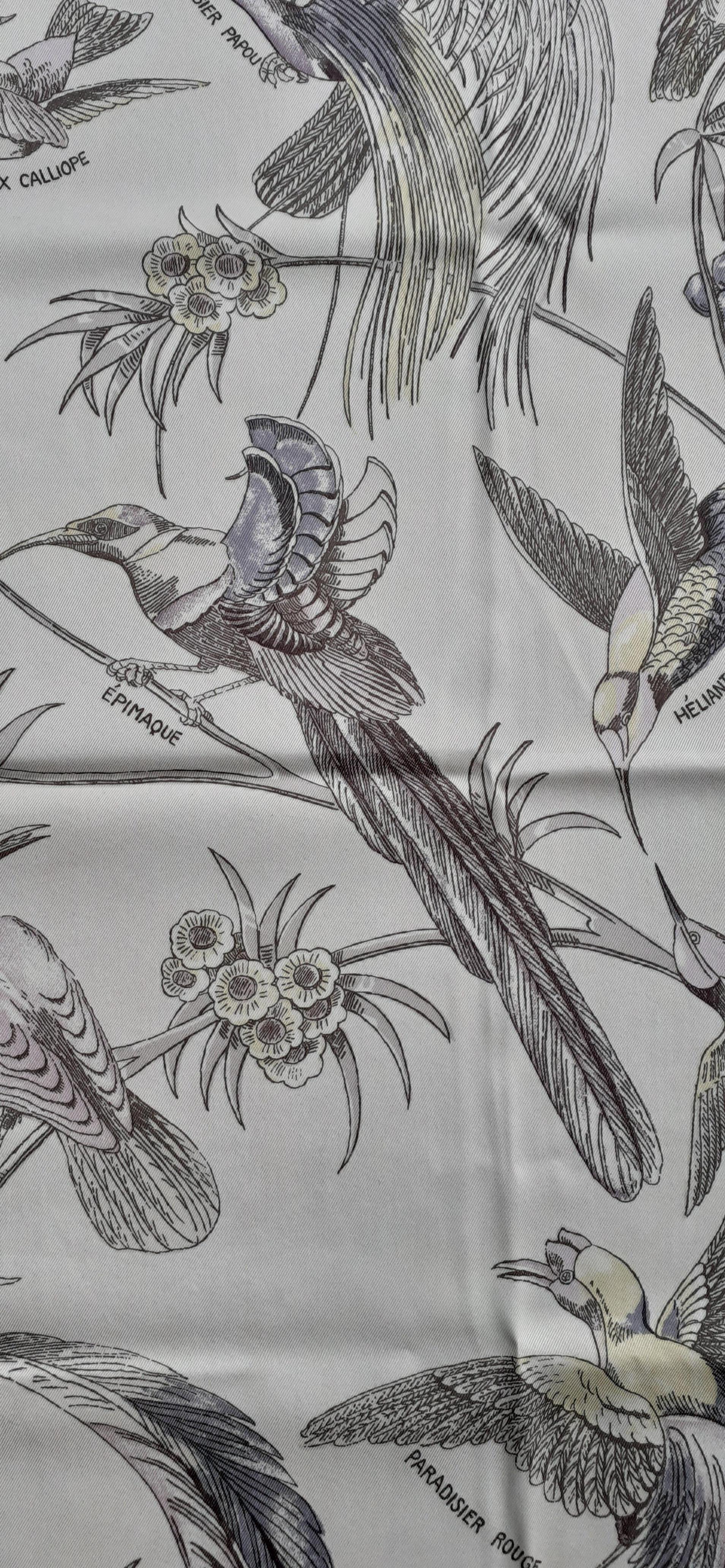 Seidenschal von Hermès Les Oiseaux des Iles Charles Pittner 66 cm SELTEN im Angebot 3