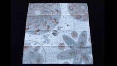 Hermès Silk Scarf Offrandes d'un jour Rybaltchenko Blanc Sepia Marron 90 cm