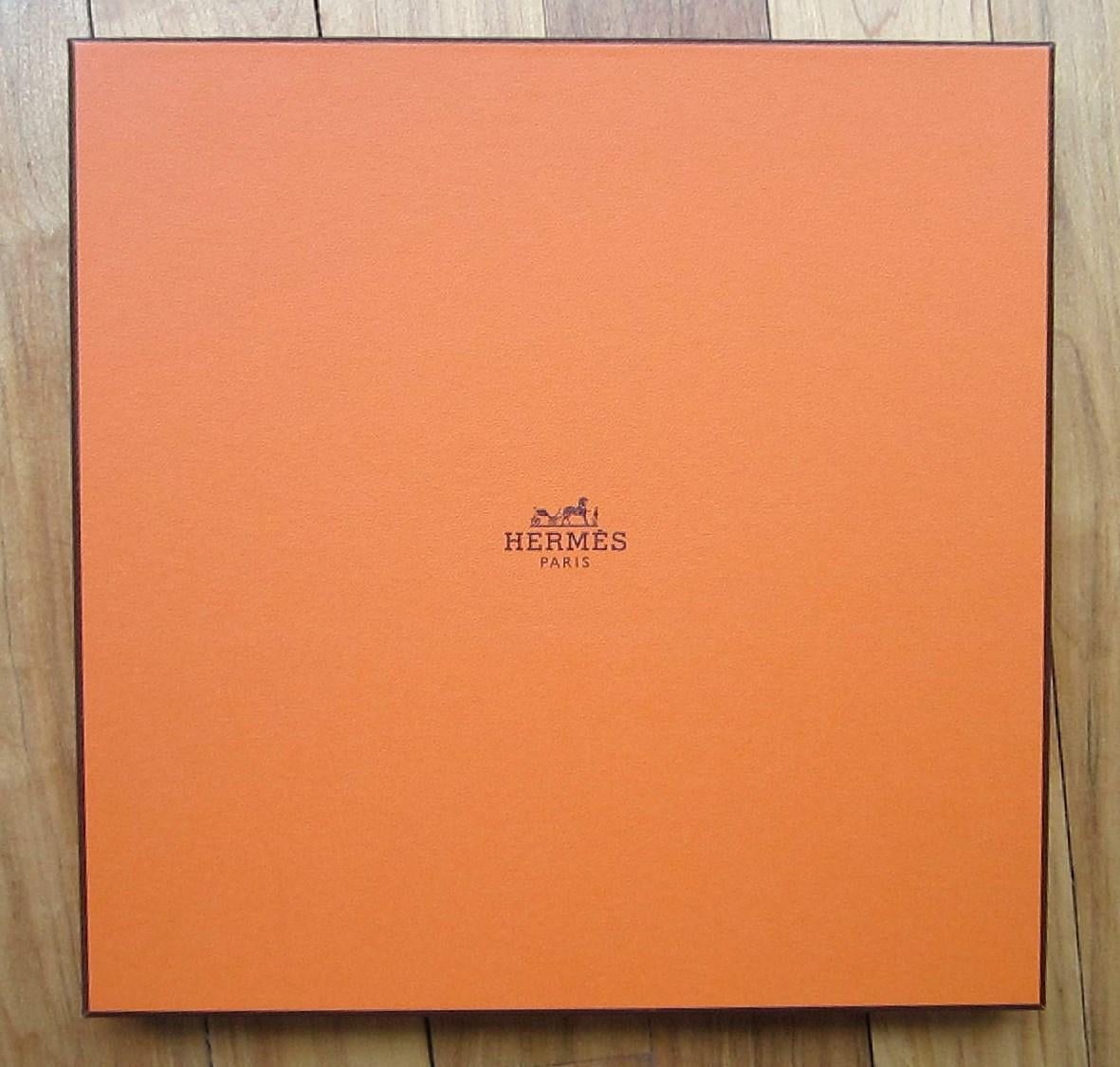 Hermes Silk Scarf  
