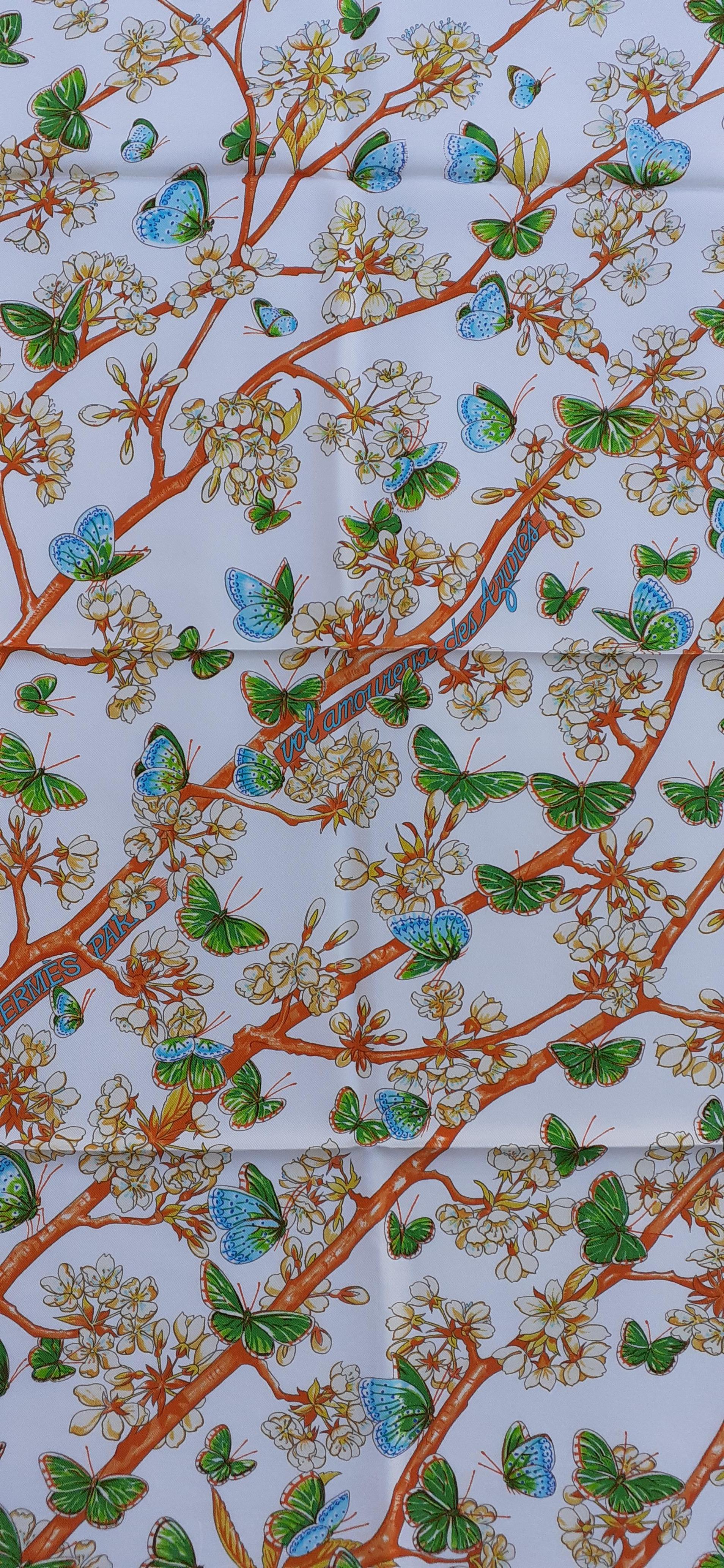 Gorgeous Authentic Hermès Scarf

Pattern: 