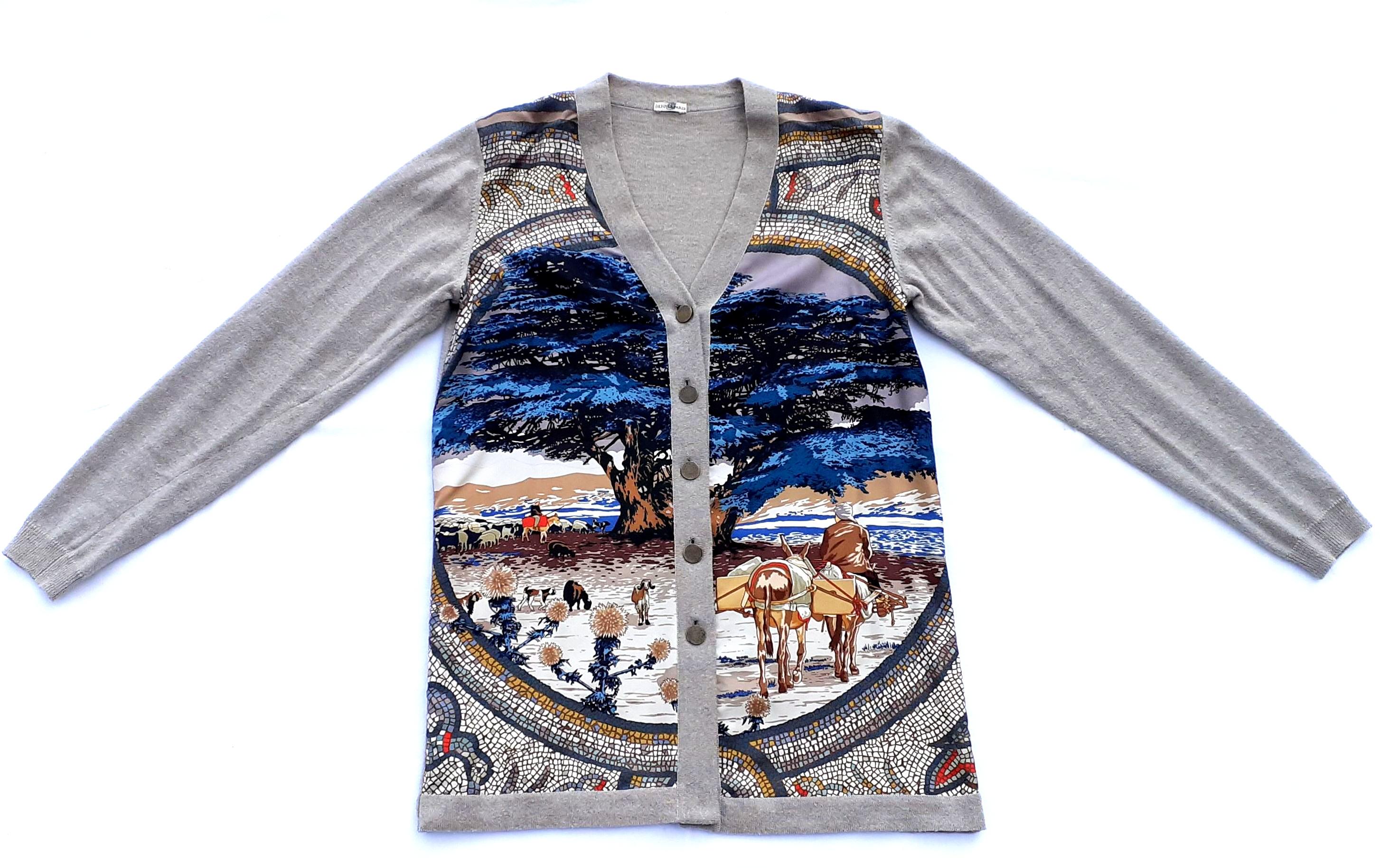 Hermès Sous le Cèdre Rybaltchenko Wool and Silk Vest Sweater Size S/M For Sale 9