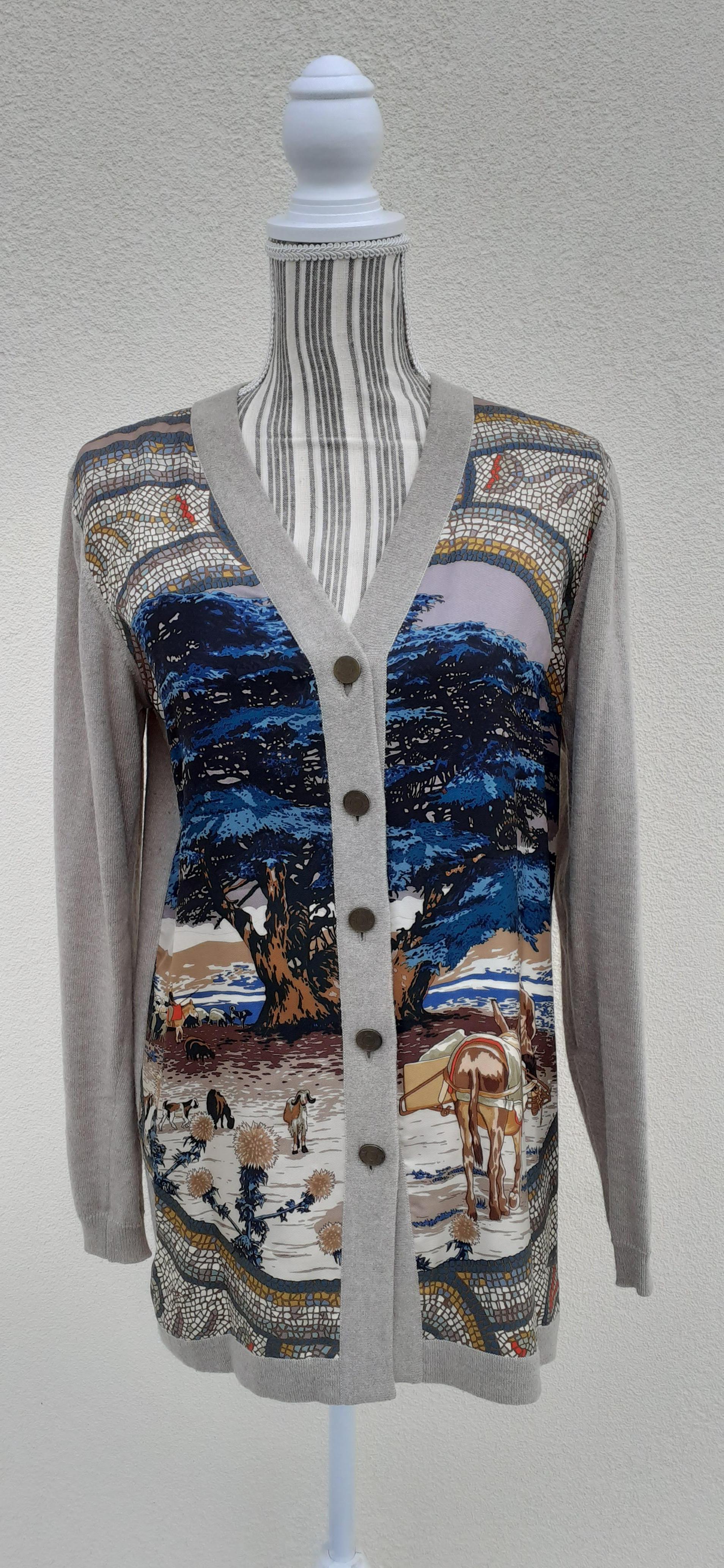 Hermès Sous le Cèdre Rybaltchenko Wool and Silk Vest Sweater Size S/M For Sale 10