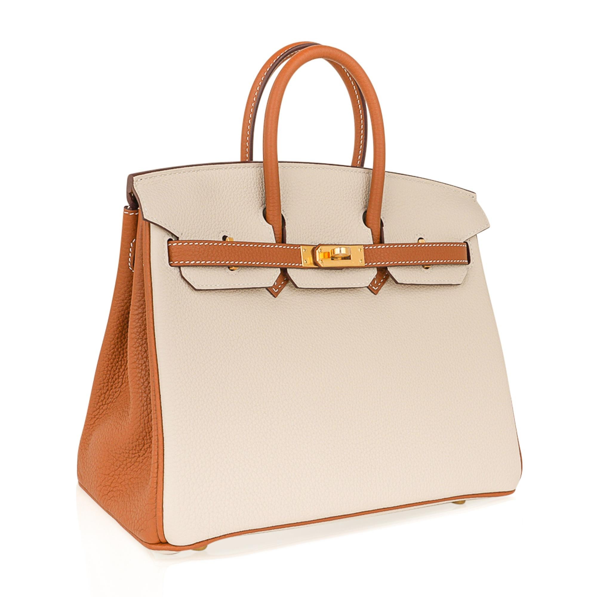 birkin craie 25