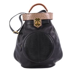 Hermes Sumac Shoulder Bag Leather with Ostrich and Lizard Detail