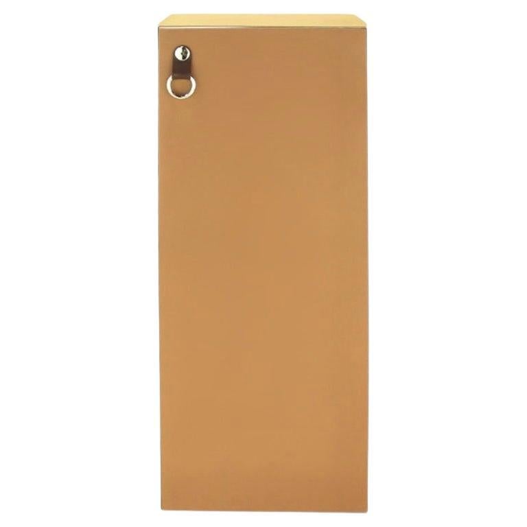 Hermès Tan Leather Chest with Drawers, Cabinet, Guido Faleschini, Italy, 1970s