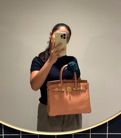 Hermès Terre Cuite Ostrich Leather Birkin 30cm