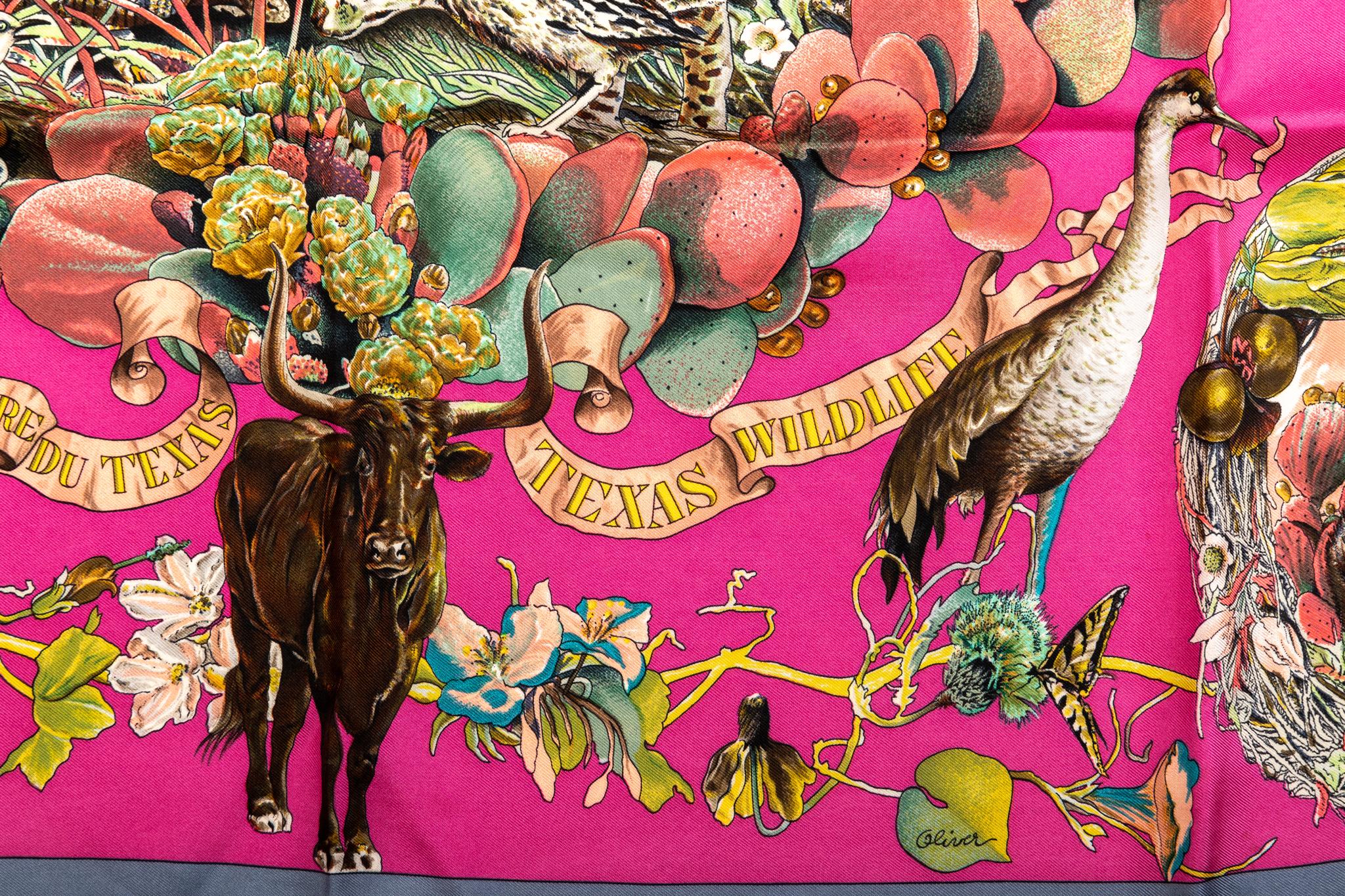 Pink Hermès Texas Wildlife Scarf by Oliver in Box