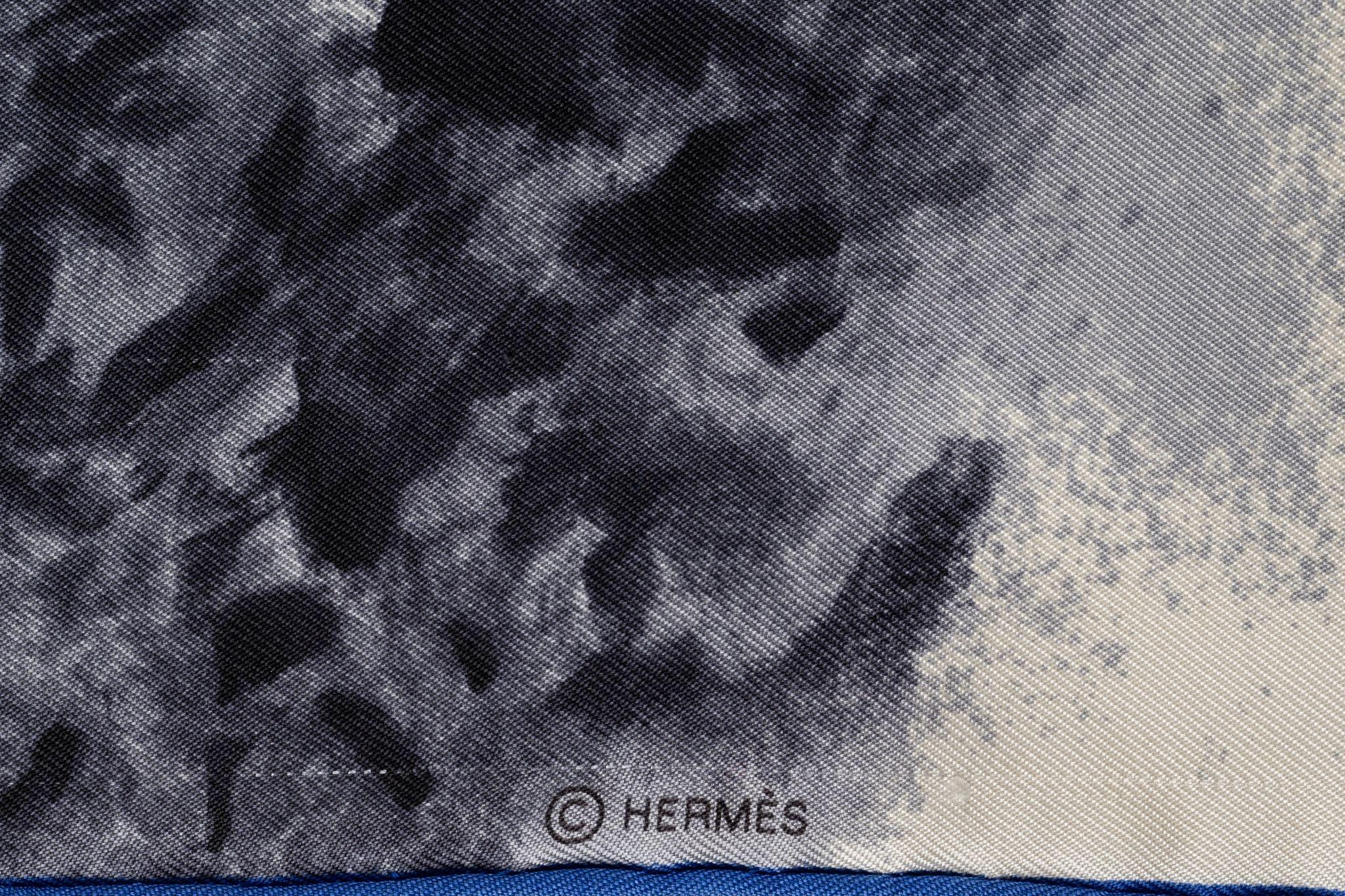  Écharpe Tigre du Bengale d'Hermès Unisexe 