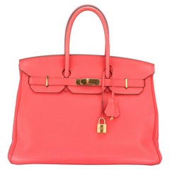 Hermès Togo Leder Birkin 35cm mit Gold Hardware