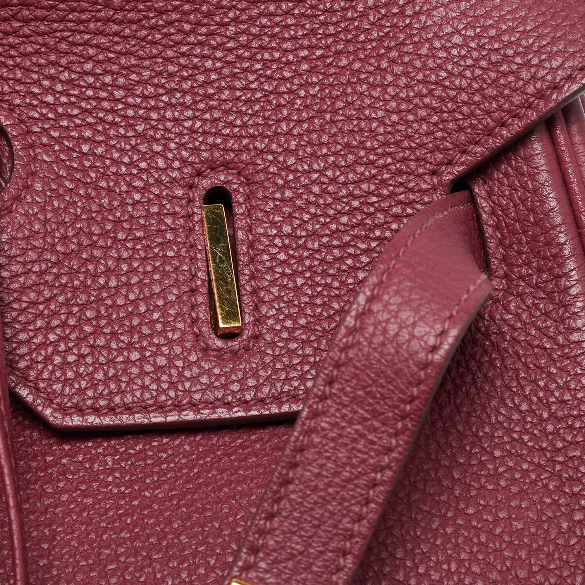 Hermes Tosca Togo Leather Gold Finished Birkin 35 Bag 4