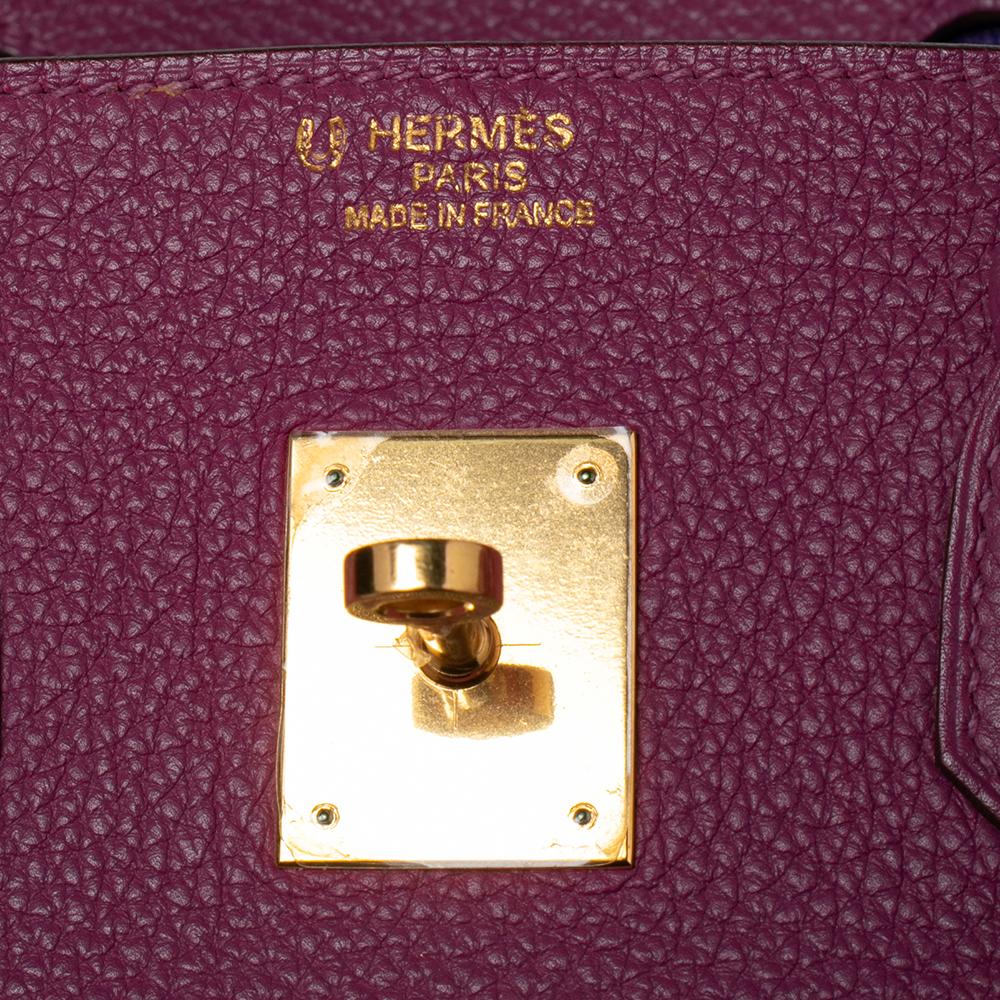 Hermes Tosca Togo Leather Special Order Gold Finished Birkin 35 Bag 9