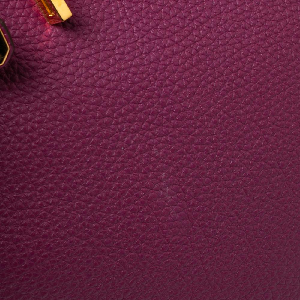 Hermes Tosca Togo Leather Special Order Gold Finished Birkin 35 Bag 11