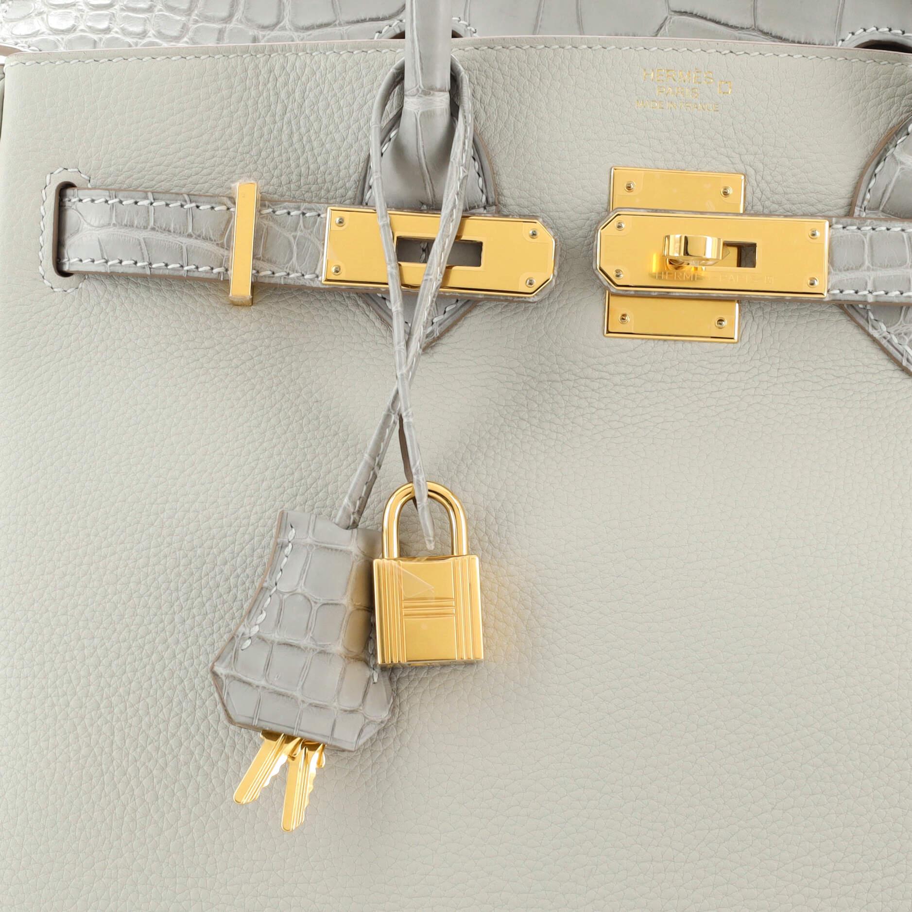 Hermes Touch Birkin Bag Grey Togo with Matte Alligator with Gold Hardware 30 3