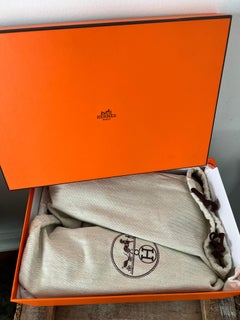 Hermès Velvet Veau white sneaker with wings size 37.5