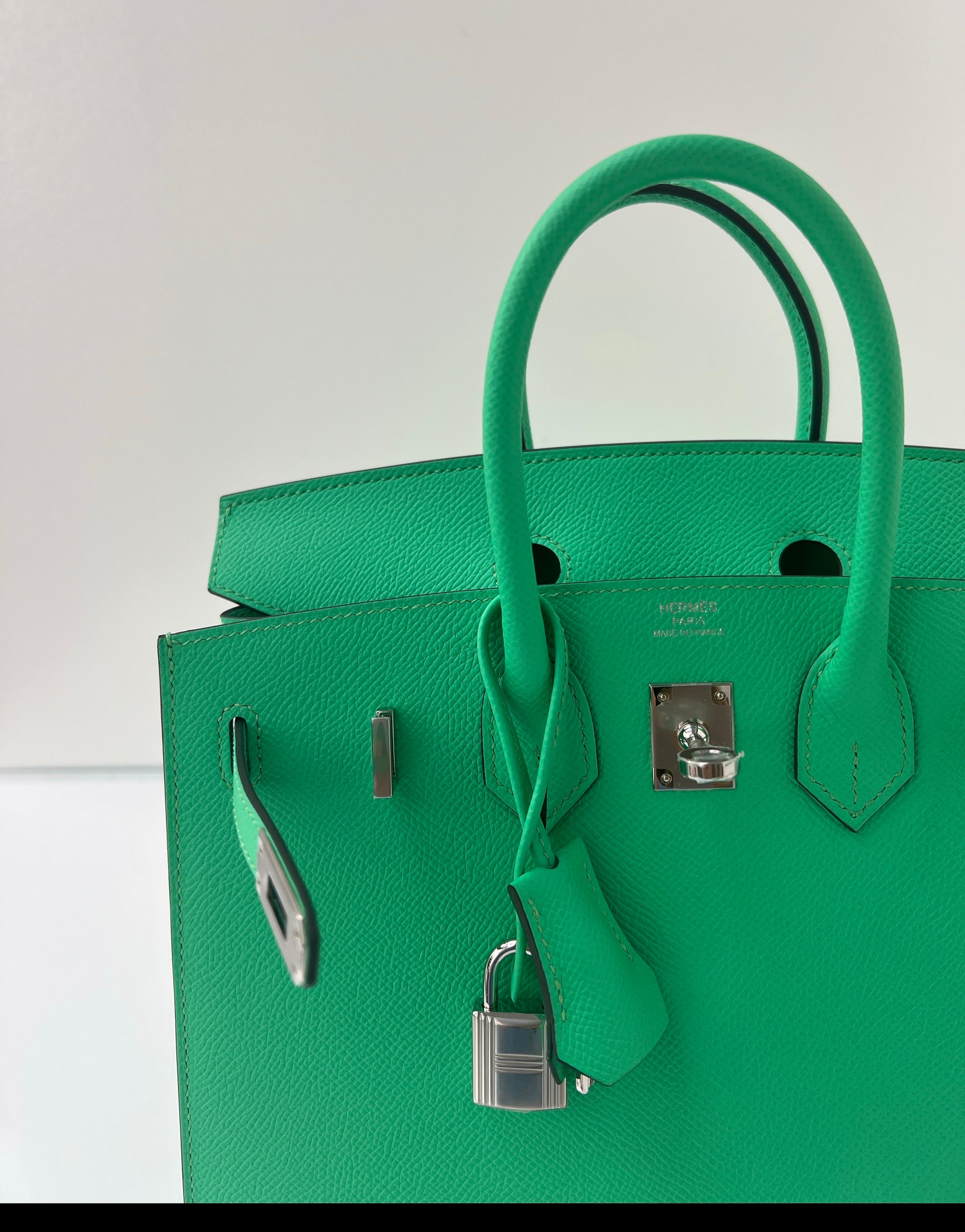 Hermes Vert Comics Birkin 25 Bag 10