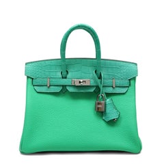 Hermès Vert Comics Togo e Alligatore Touch Birkin 25 Hardware Palladium