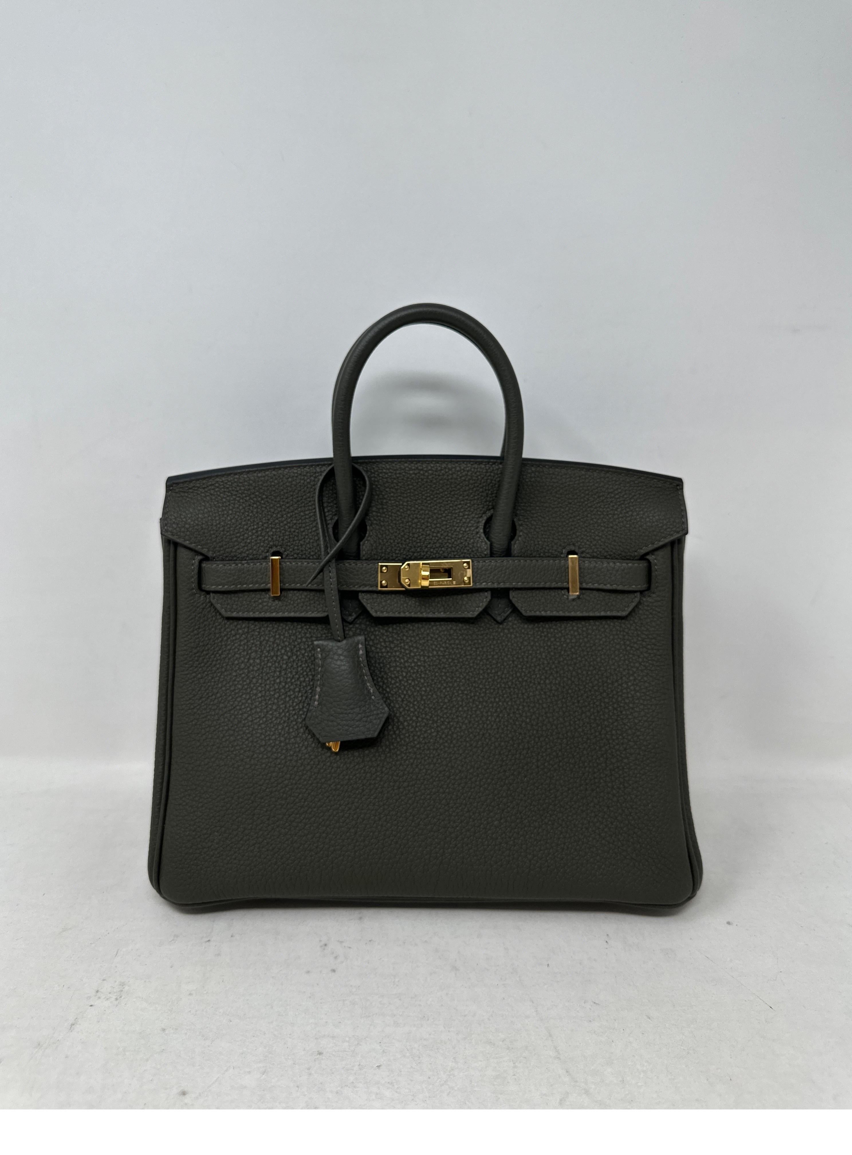 Hermes Vert De Gris Birkin 25 Bag For Sale 6