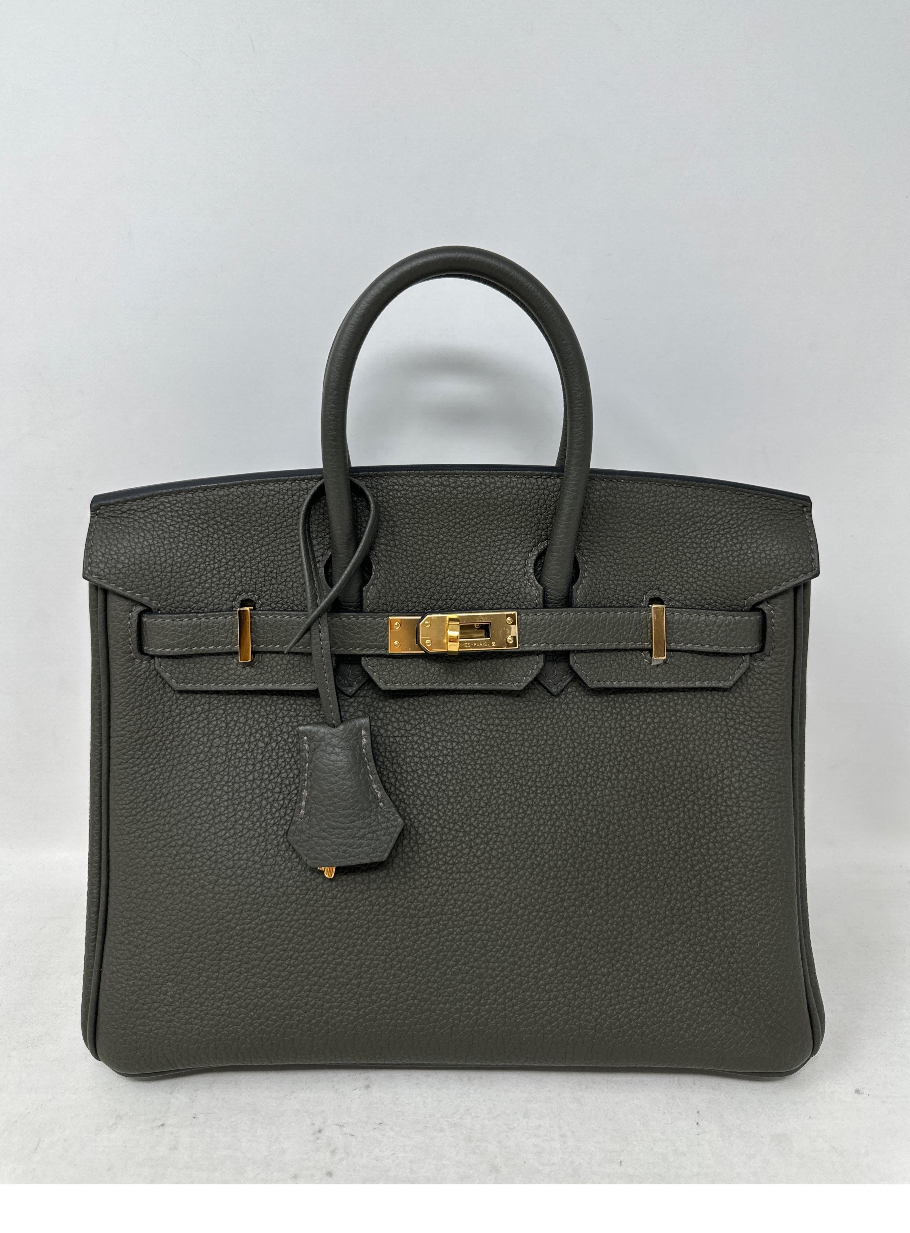 Hermes Vert De Gris Birkin 25 Bag For Sale 7