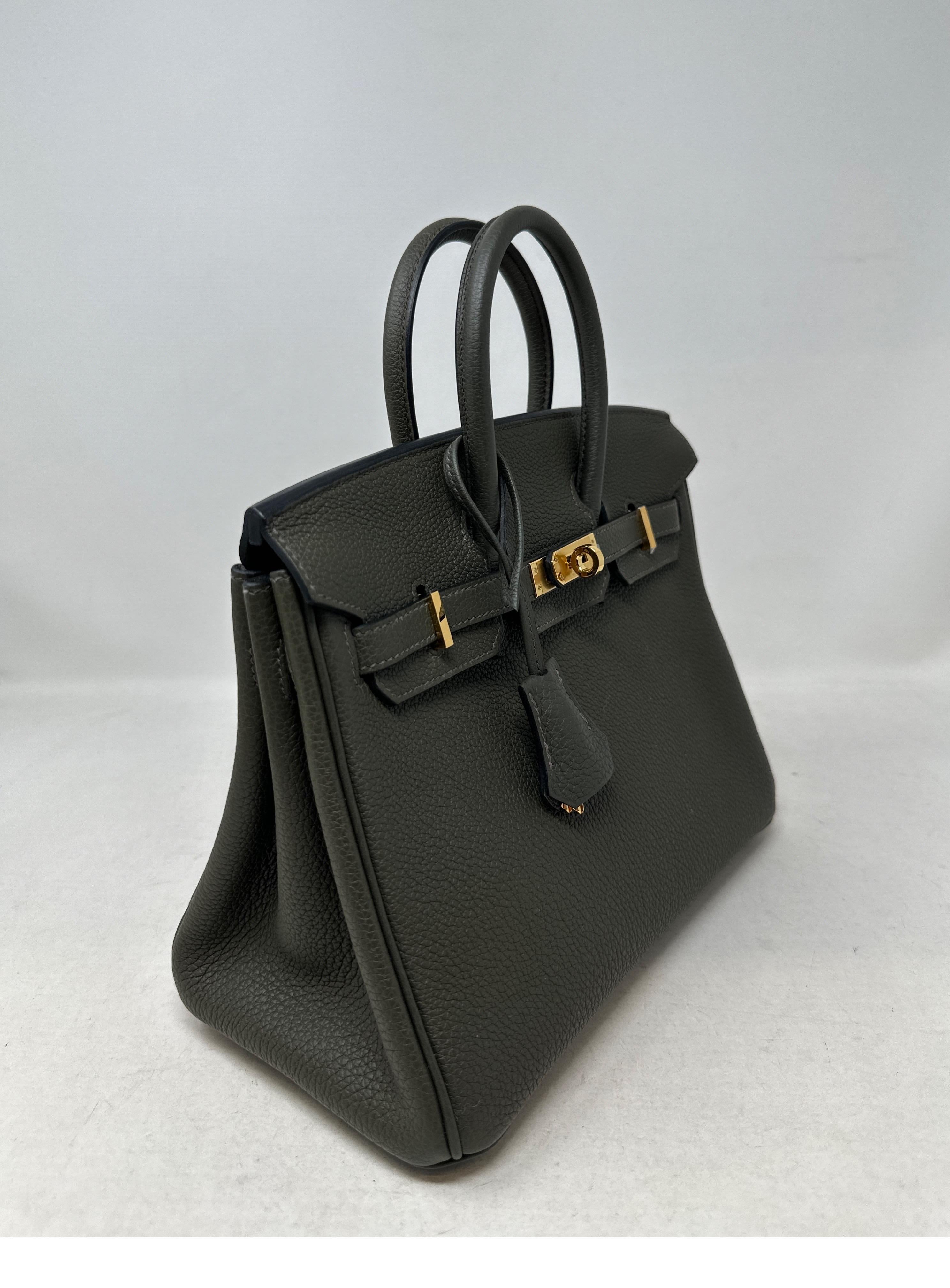Hermes Vert De Gris Birkin 25 Bag For Sale 8