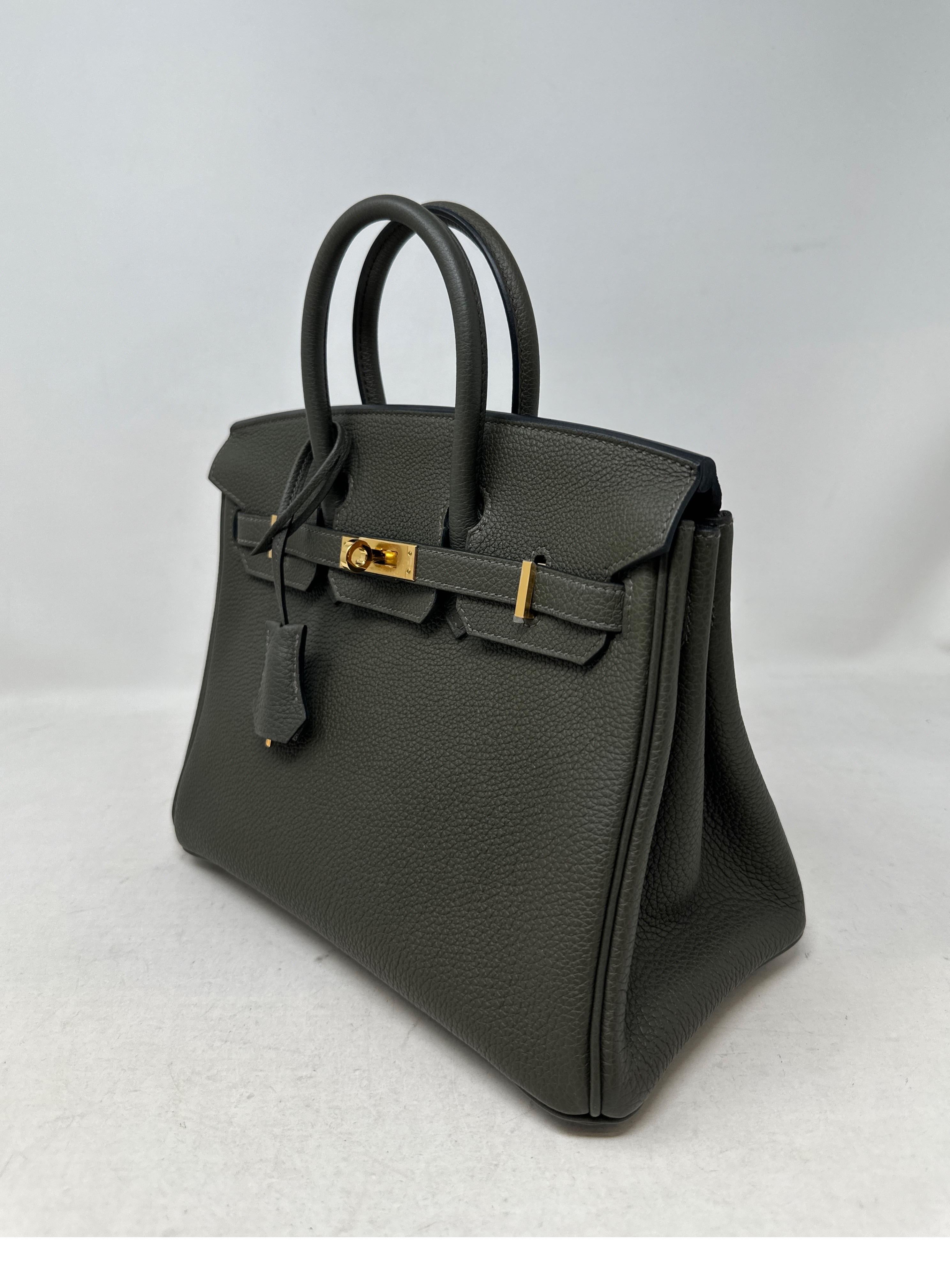 Hermes Vert De Gris Birkin 25 Bag For Sale 7