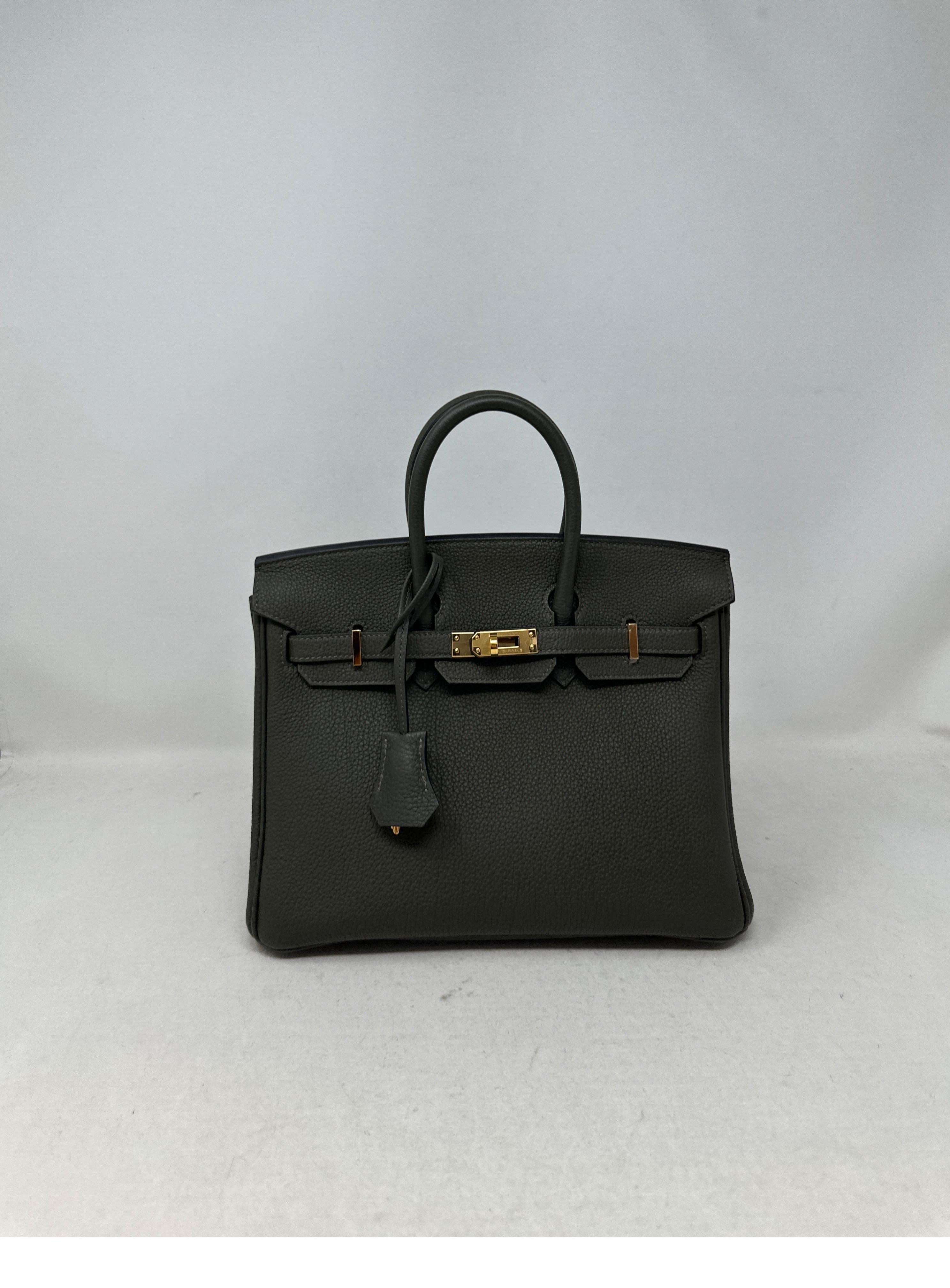 Hermes Vert De Gris Birkin 25 Bag  For Sale 11