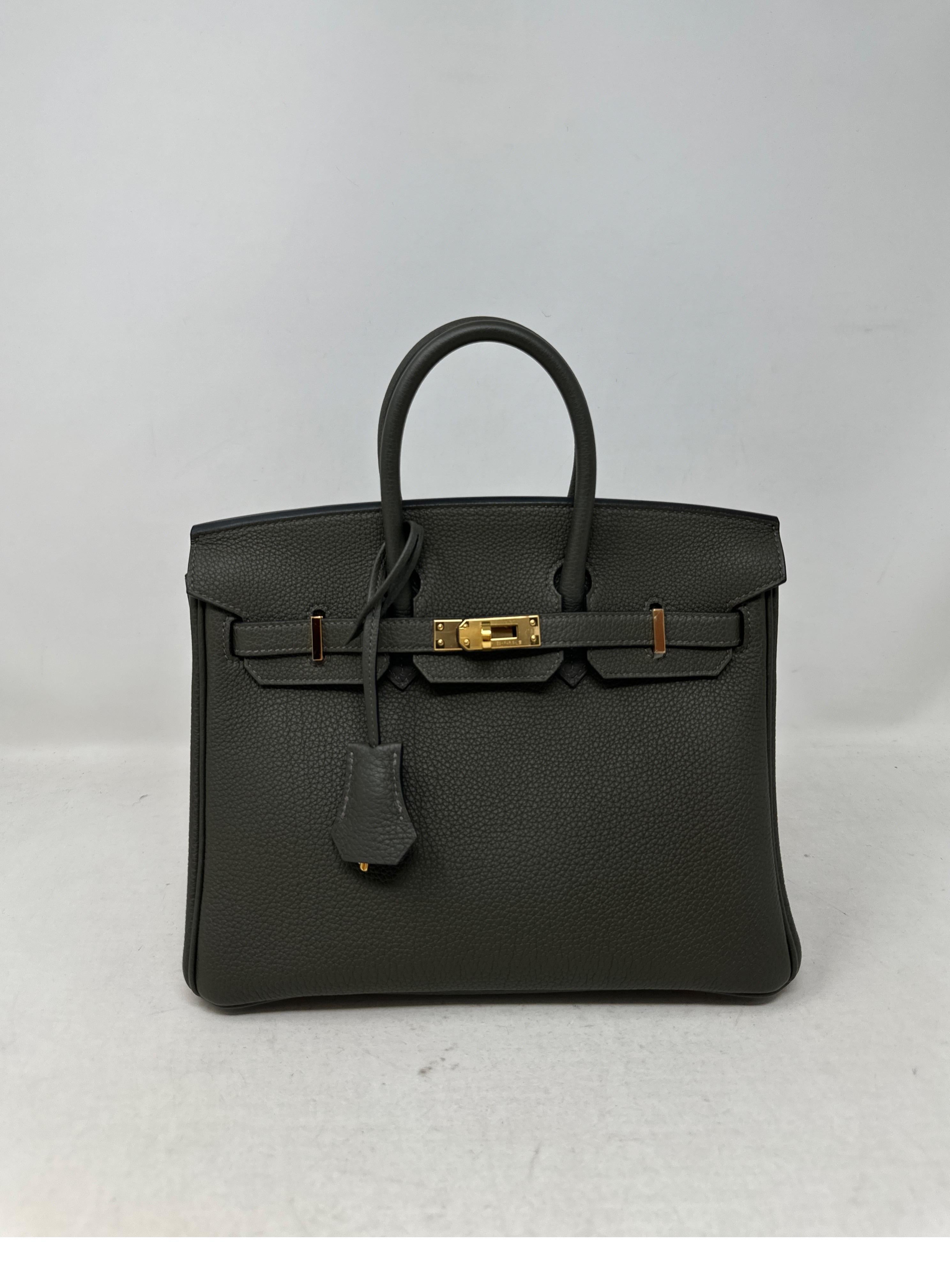 Hermes Vert De Gris Birkin 25 Bag  For Sale 12