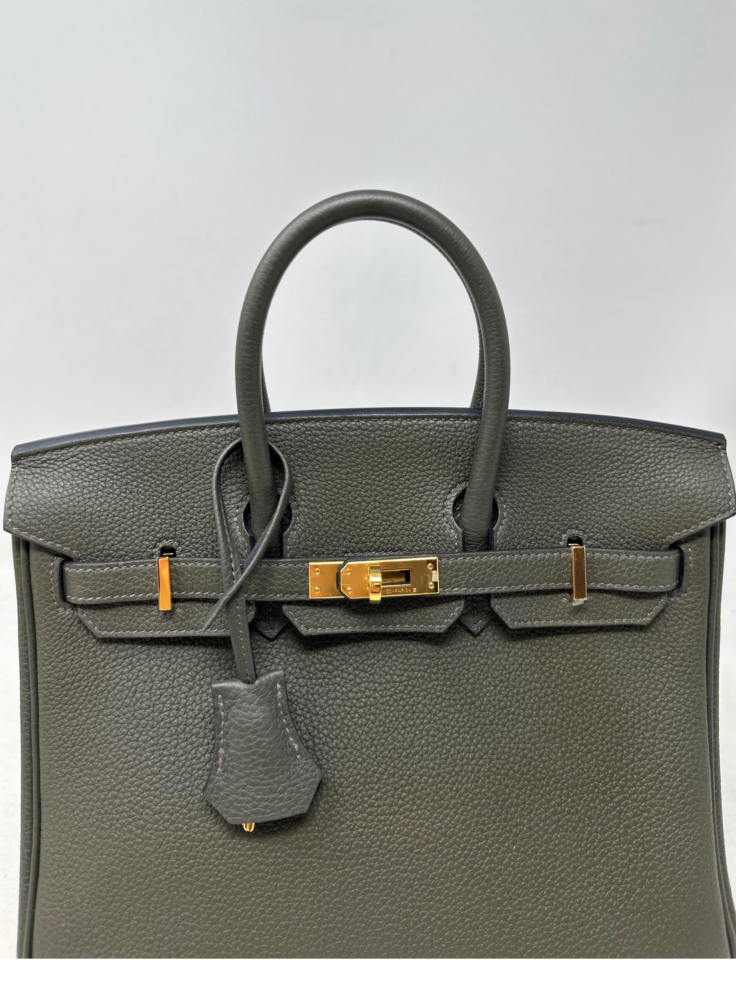 Hermes Vert De Gris Birkin 25 Bag For Sale 13