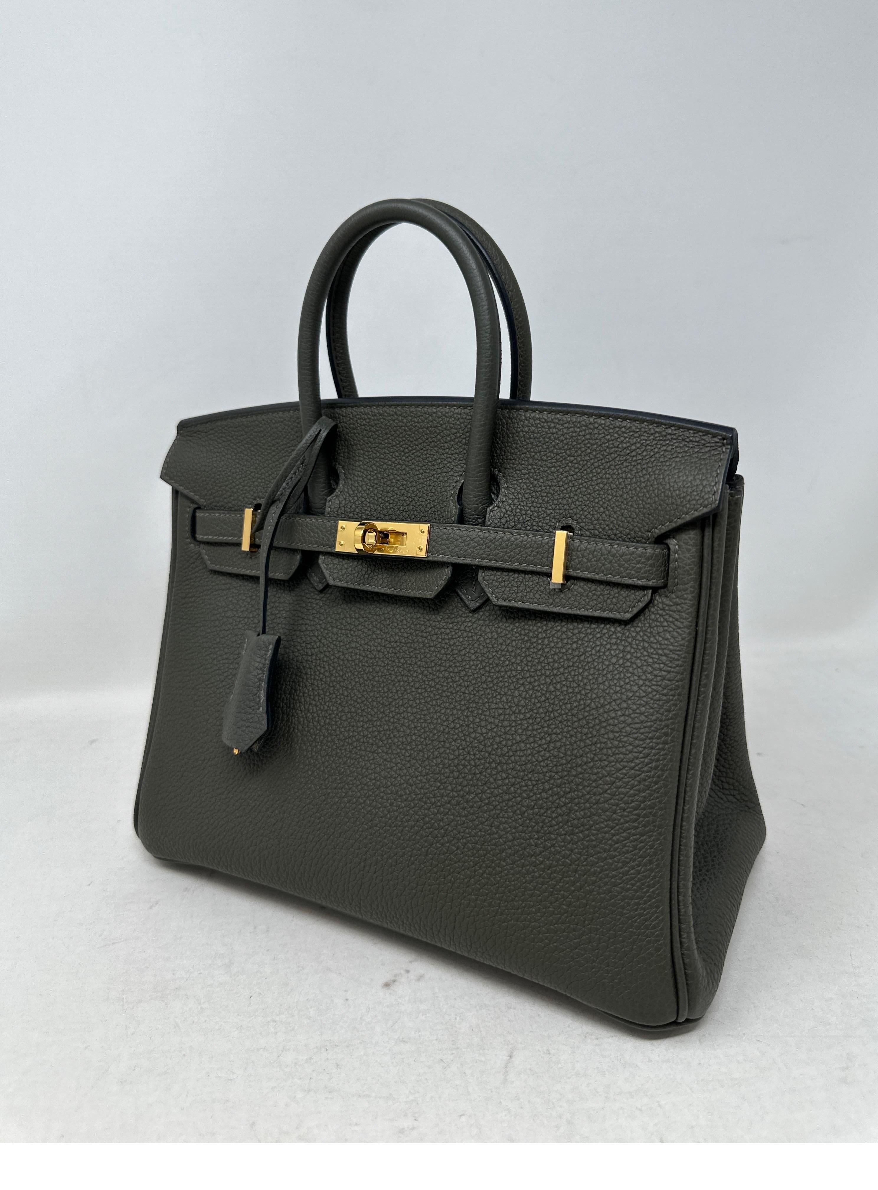 Hermes Vert De Gris Birkin 25 Bag  For Sale 14