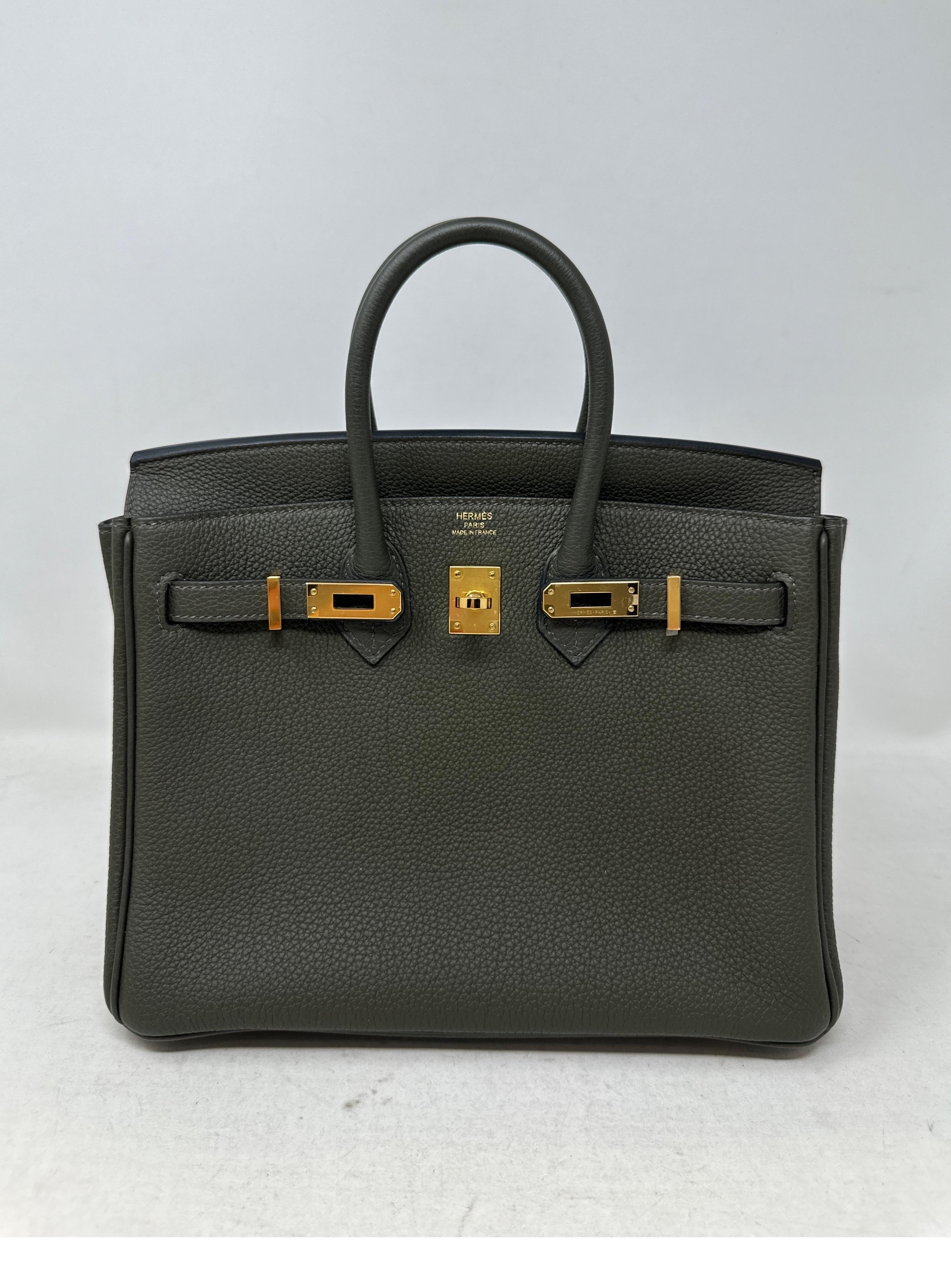 Hermes Vert De Gris Birkin 25 Bag. Rare color combination. Gold hardware. Togo leather. Brand new in box. Full set. Includes original receipt. Guaranteed authentic. Perfect gift. Investment piece. Do not miss out. 